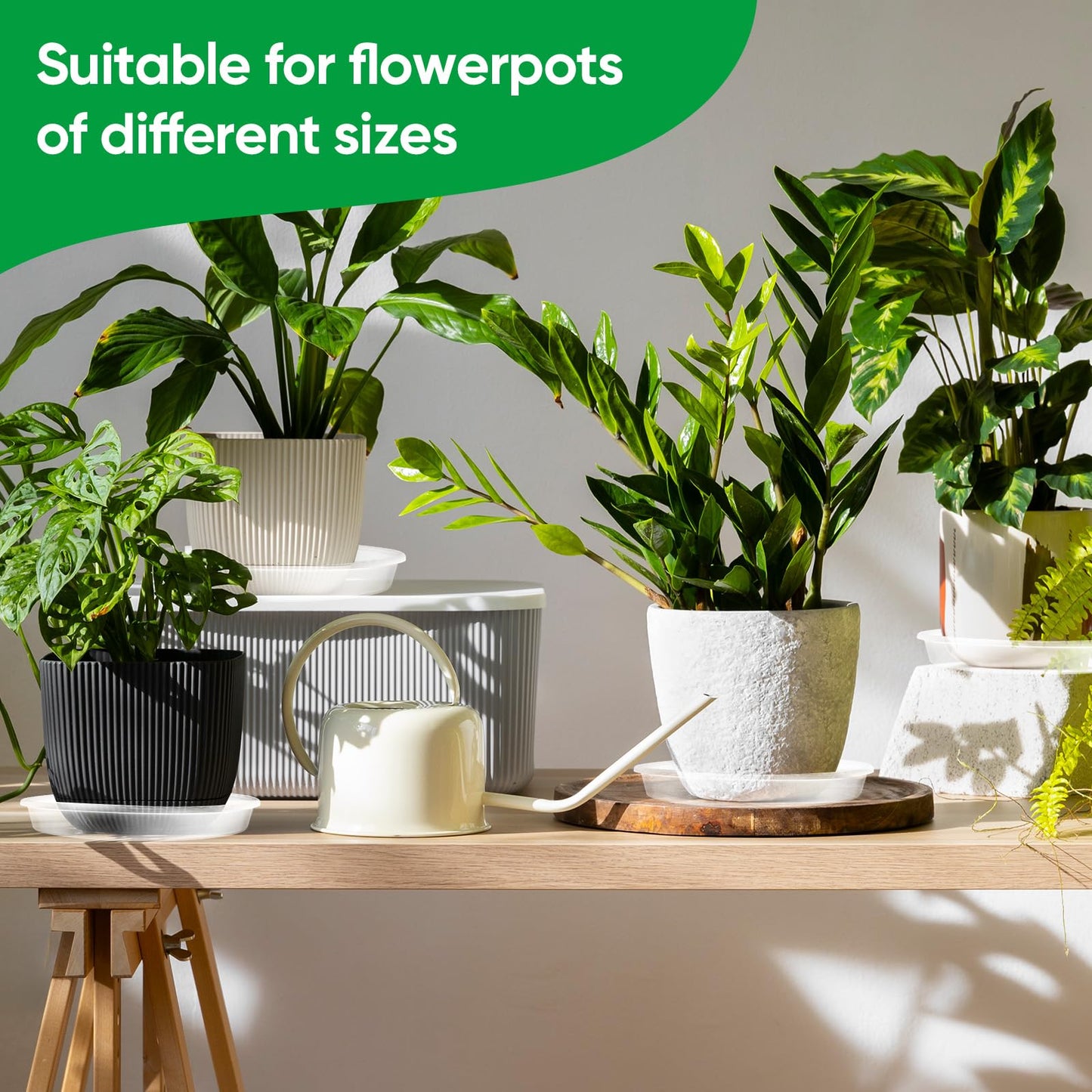 Dovesail 20 Pack Plant Saucer Tray, 6/8 /10/12 inch Heavy Duty Flower Pot Trays, Plastic Plant Saucer for Indoor & Outdoor Plants, Plant Trays to Catch Water, 5 Pieces of Each Size