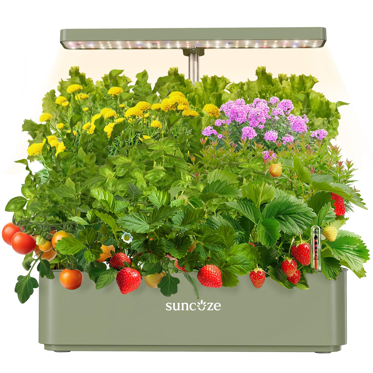 SUNCOZE Hydroponics Growing System Kit 12 Pods, 24W LED Grow Light Indoor Garden, 4L Water Tank with Quiet Pump, Adjustable Height Herb Garden Planter Indoor Kit, Gardening Gifts, Green