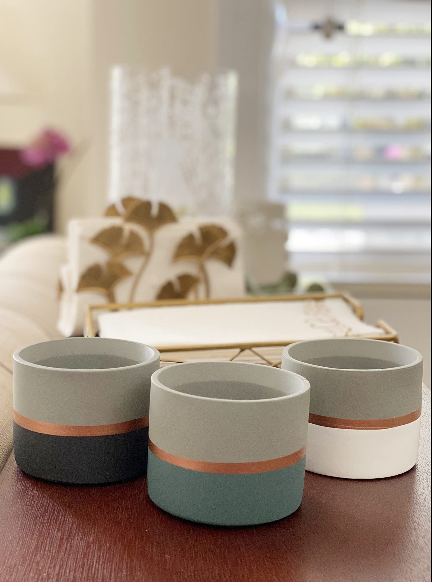 Chez JuJu Assorted Nordic Cement Succulent Pots 3.5" Planters with Drainage | 3 Pack
