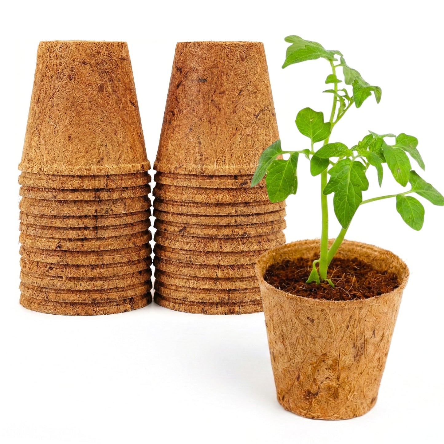 PlantBest 3.25 Inch Coconut Coir Biodegradable Pots – 22 Pack, Plantable Seed Starter Pots, Peat-Free, Sustainable Growing Containers