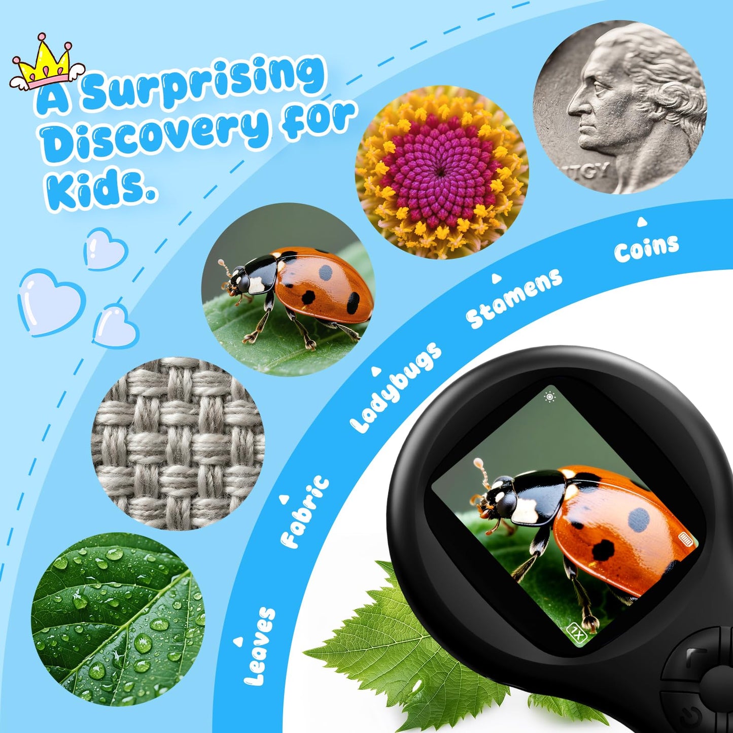 Ashfly Magnifying Glass - Mini LED Pocket Microscope for Kids(5-10 Years) - Educational Science Kit Durable Design - Ideal Gift for Girls (Black)