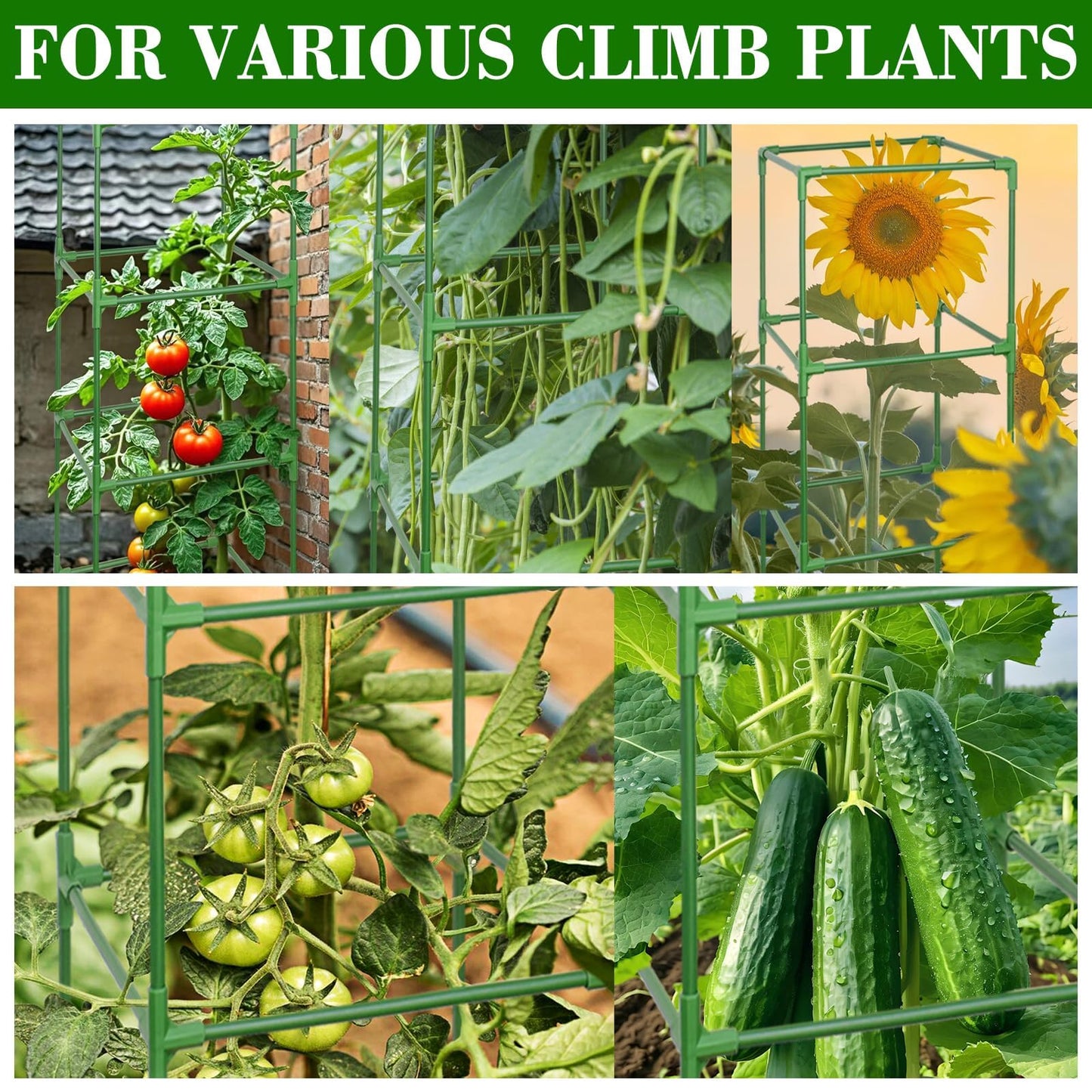 ZeeDix 45 Inch Tomato Cages 4 Pack, Heavy Duty Adjustable Metal Garden Plant Supports for Climbing Vegetables - Square Cage for Tomatoes, Cucumbers, Peas, Flowers with 40 Plant Clips