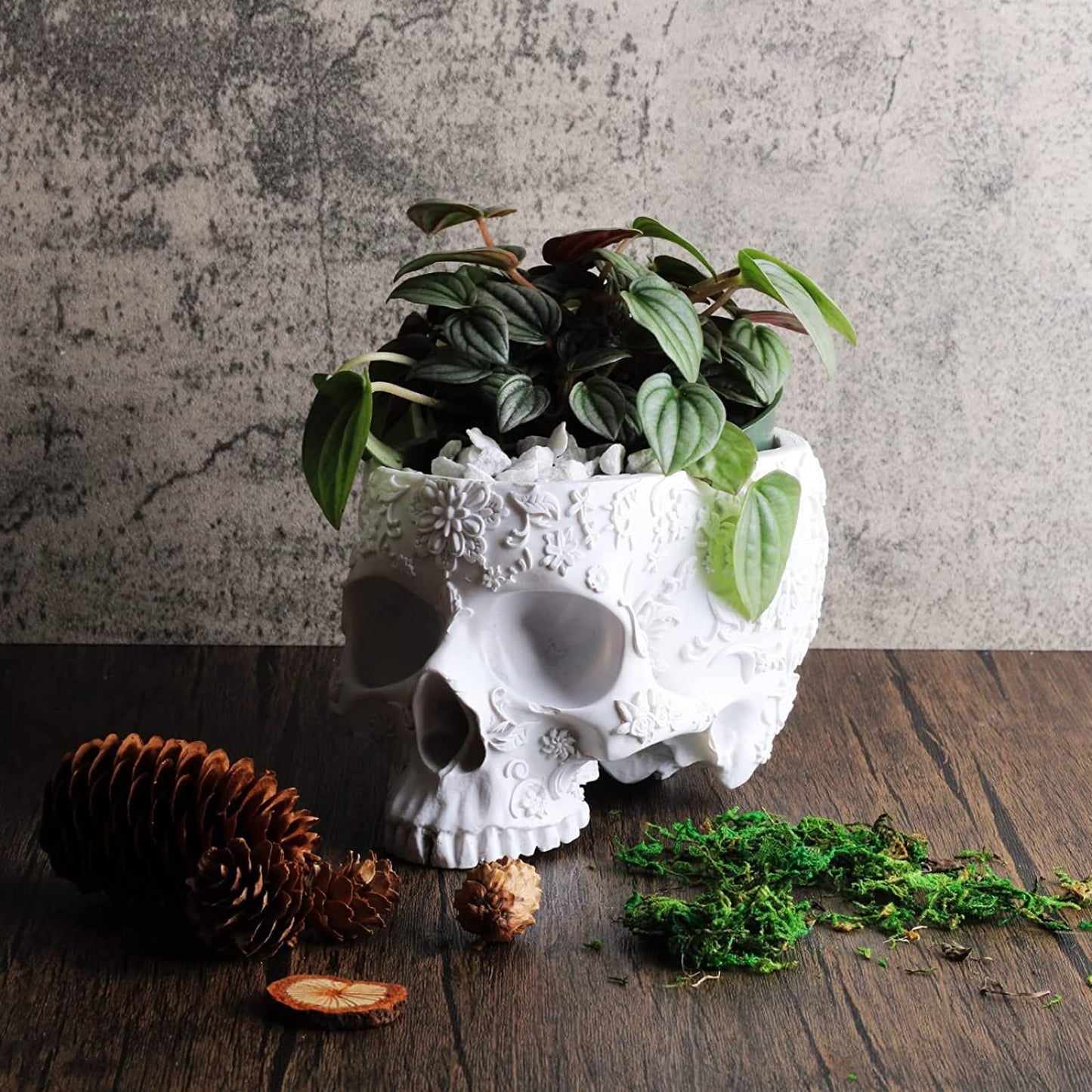 White Skull Planter Pot 6 Inch Skeleton Head Pot for Succulents Flowers, & Bowl Dish Gothic Decor for Garden Home Parties Haunted House Spooky Black Display Halloween Skull Flower Pot Decoration Gift