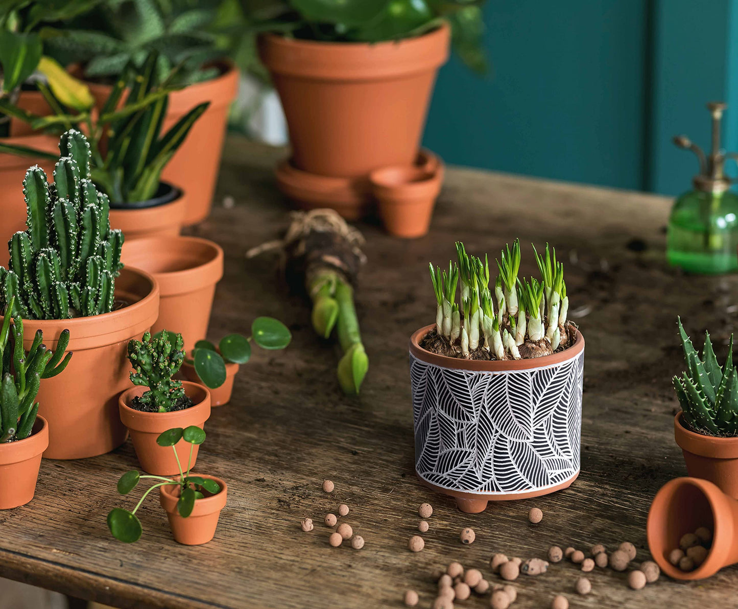 D'vine Dev Set of 2 Terracotta Planter Pots, 4 Inch & 6 Inch, Design Plants Pot with Drainage Hole, Monsoon Jungle, Terracotta/Black, 31-953-H-2