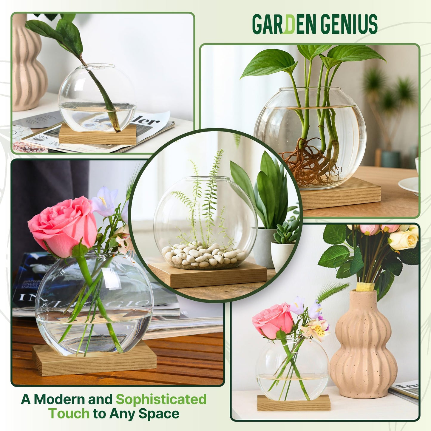 Single Glass Propagation Station with Wooden Base – Hydroponic Plant Terrarium for Home & Office | Ideal Christmas, New Year & Birthday Gift for Plant Lovers, Moms | Desktop Windowsill Planter Vase