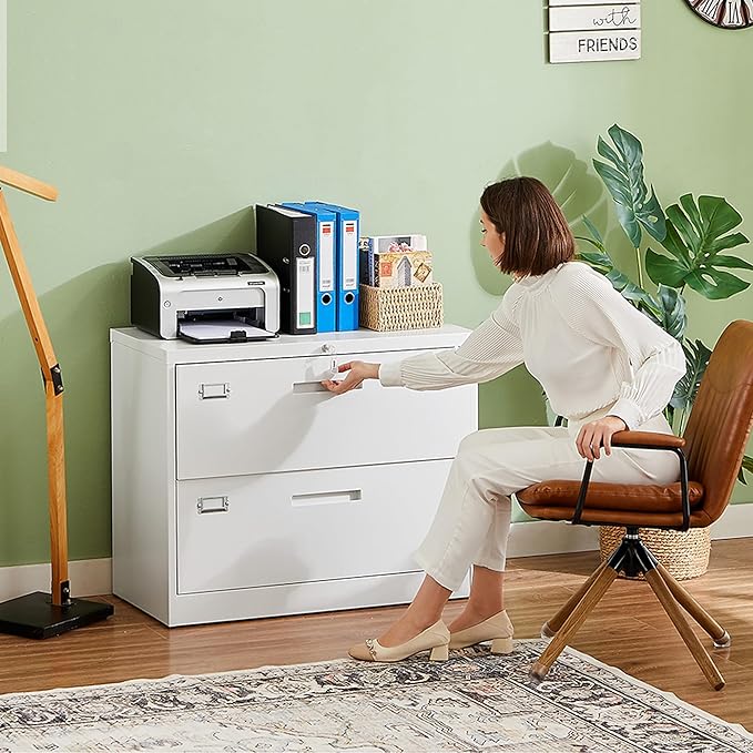 Letaya 2 Drawer Metal Filing Organization Office Cabinets