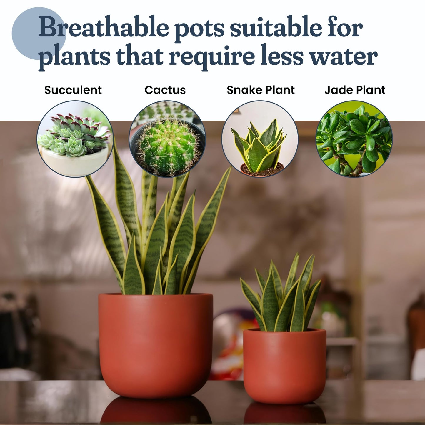 FINE Living 4 & 6 Inch Terracotta Pots for Plants, Set of 2, Ceramic Planter Clay Pots, Succulent Planter Pots with Drainage Hole and Mesh Net for Gifts, DIY Craft, Garden & Home Decor