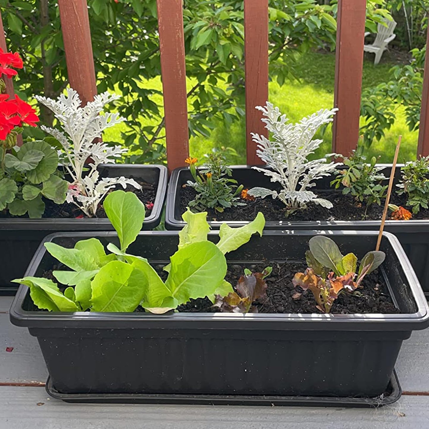 ZEONHAK 6 Pack 17 Inch Flower Window Box, Plastic Vegetable Planters Long Pots with Tray, Black Garden Flower Plant Pot for Windowsill Patio Garden Porch Balcony, with 30 PCS Plant Labels