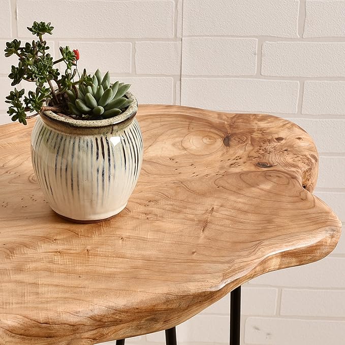 WELLAND Live Edge Cedar End Table, Unique Desktop Side Table, Natural Clear
