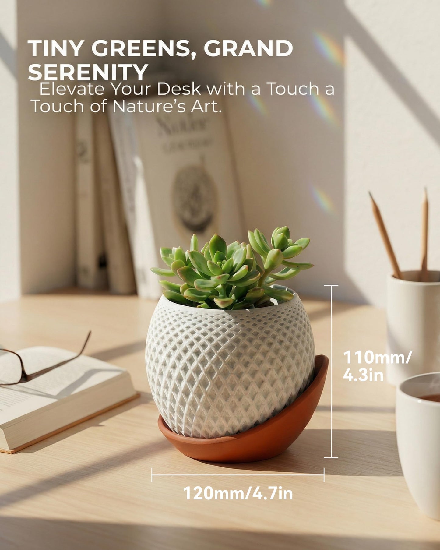 CODIAO Small Plant Pots Indoor with Drainage & Saucer (4 Inch) - Cute 3D Printed Geometric Planter - Modern White Pot for Succulents Cactus - Unique Desk Decor & Gardening Gift (Terra Cotta Base)