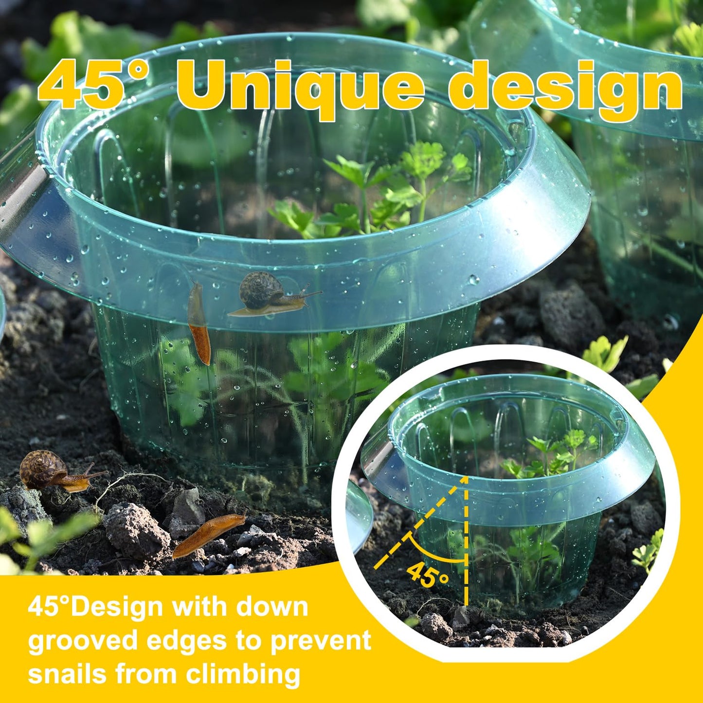 10 Pack Slug Collars for Plants,The New Snail Protection Ring, Provides Effective Protection Against Snails for Your Salad Plants and Others Plants.(Not Include Garden Cloches)