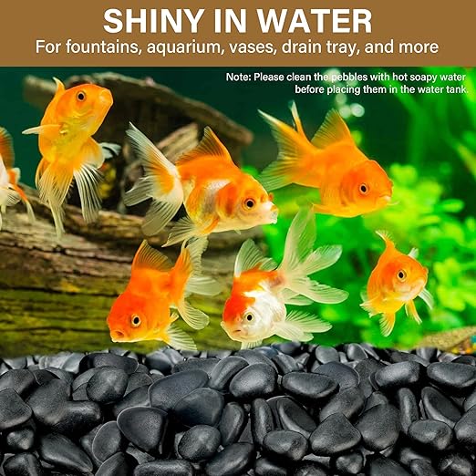6lb Black River Rocks for Plants Indoor, 1-2Inch Pebbles for Vases Fillers, Decorative Gravel for Fish Tank, Natural Polished Stones for Succulent, Bonsai, Landscaping, Bird Baths