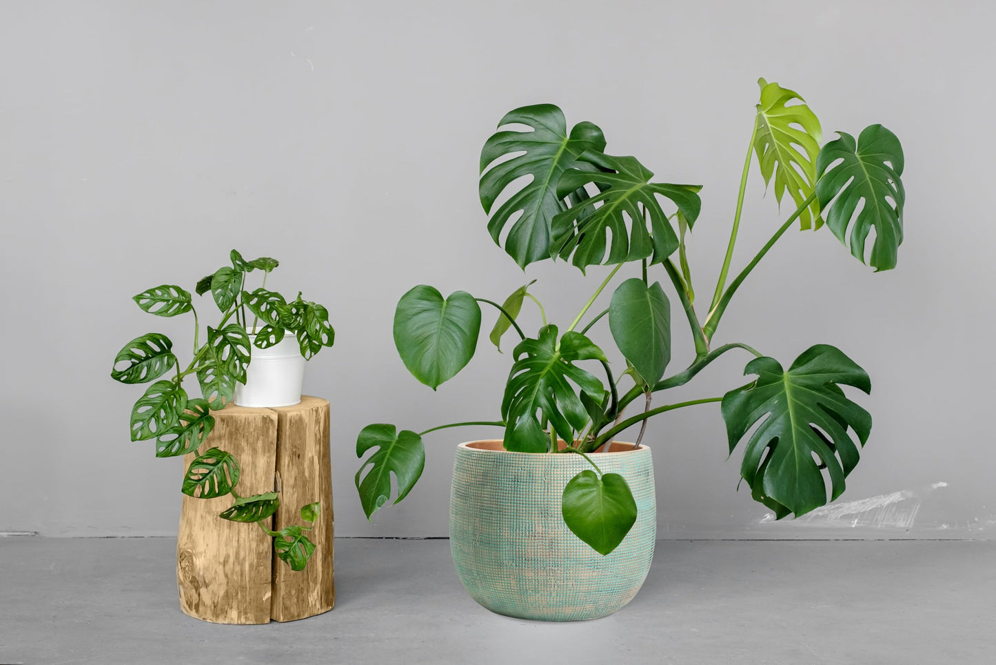 Olly & Rose Bali 10 Inch Ceramic Cement Plant Pot - Indoor & Outdoor Planters - Garden and Flower Pot