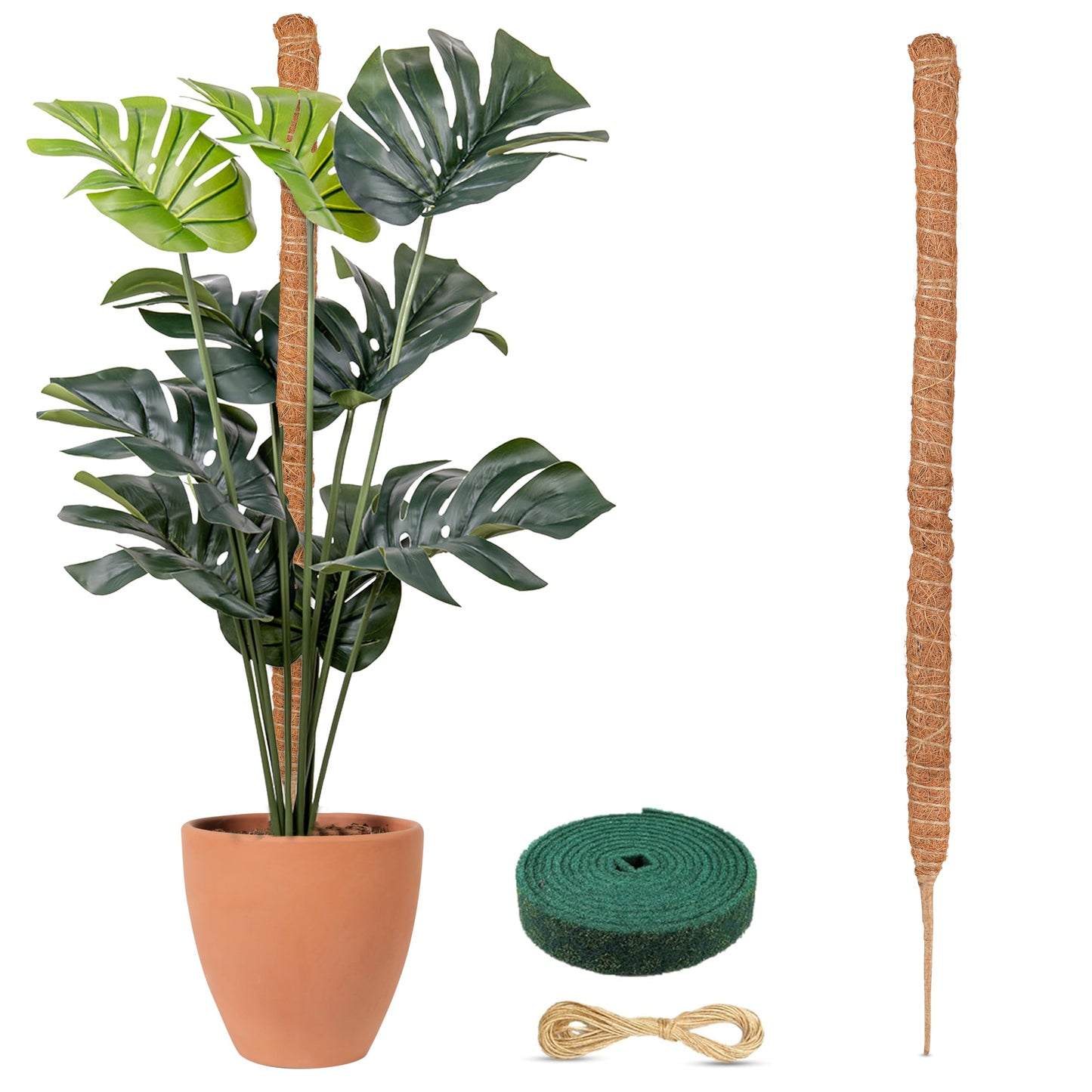 EcoNour Tall Moss Pole for Plants (1-Pack) 63-Inch | Large Monstera Plant Support for Climbing and Growth | Elevate Your Indoor Garden | Tall Plant Support for Indoor Potted Plants to Grow Upwards