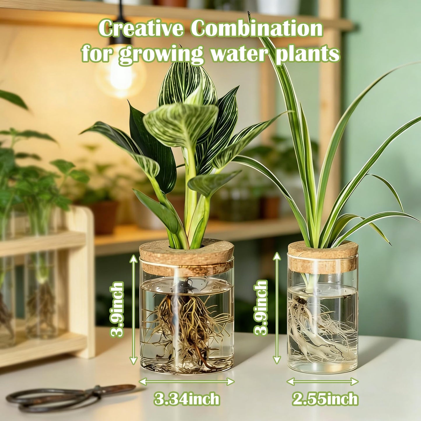 QeemTaco 4Pcs Glass Plant Propagation Vase with Wooden Stopper, Hydroponic Terrarium Cylinder Bottle for Plant Cuttings, Modern Desktop Plant Holder for Home Office Decor