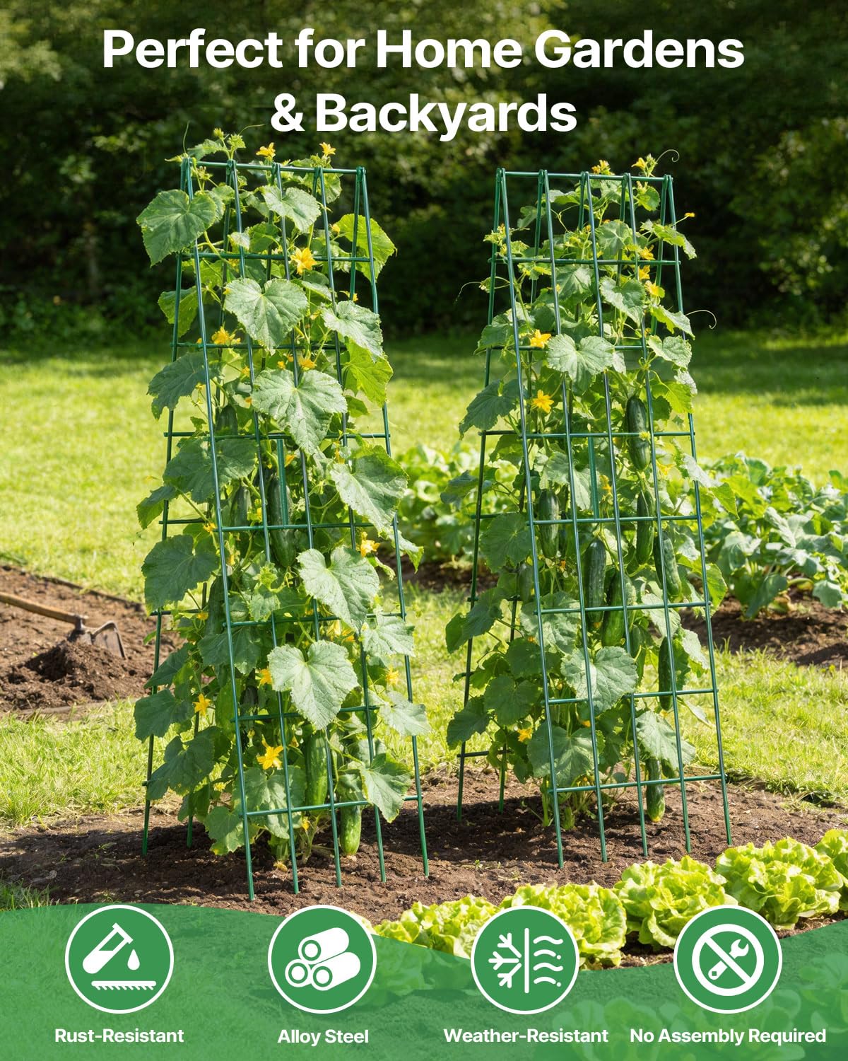 Suteck A-Frame Cucumber Trellis 59.4" 2 Pack - Metal Garden Trellis for Cucumbers, Peas, Beans & Climbing Plants, Foldable Outdoor & Indoor Vegetable Support for Raised Beds, Patios & Backyard