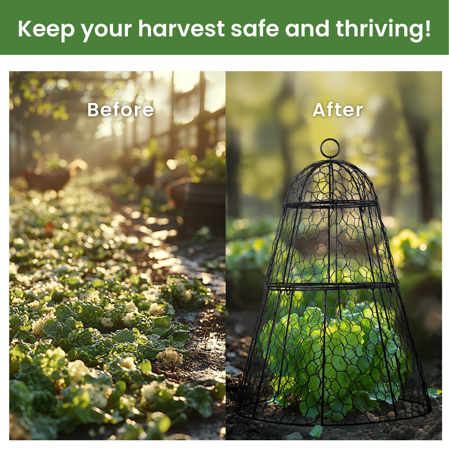 Dadywheels Easy-Snap Open Design Chicken Wire Cloche (6-Pack) - Adjustable Garden Plant Protectors from Birds & Animals for Large Plants & Flowers,14" D x 20" H