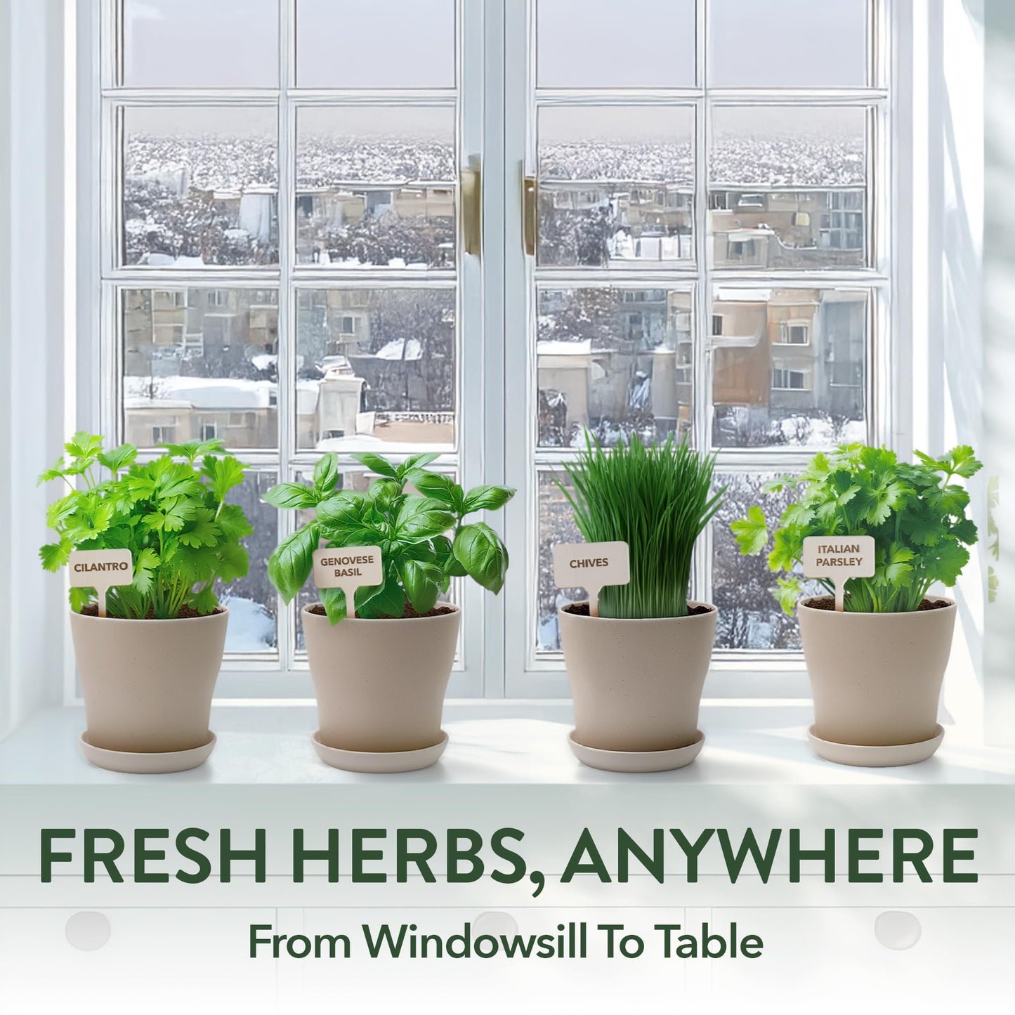 HOME GROWN Herb Garden Planter Indoor Kit – Unique Christmas Gift for Adults, Men, & Women - Grow 4 Heirloom Herb Seeds on Kitchen Window – Beginner DIY Craft & Hobby Gardening Gift for Plant Lovers