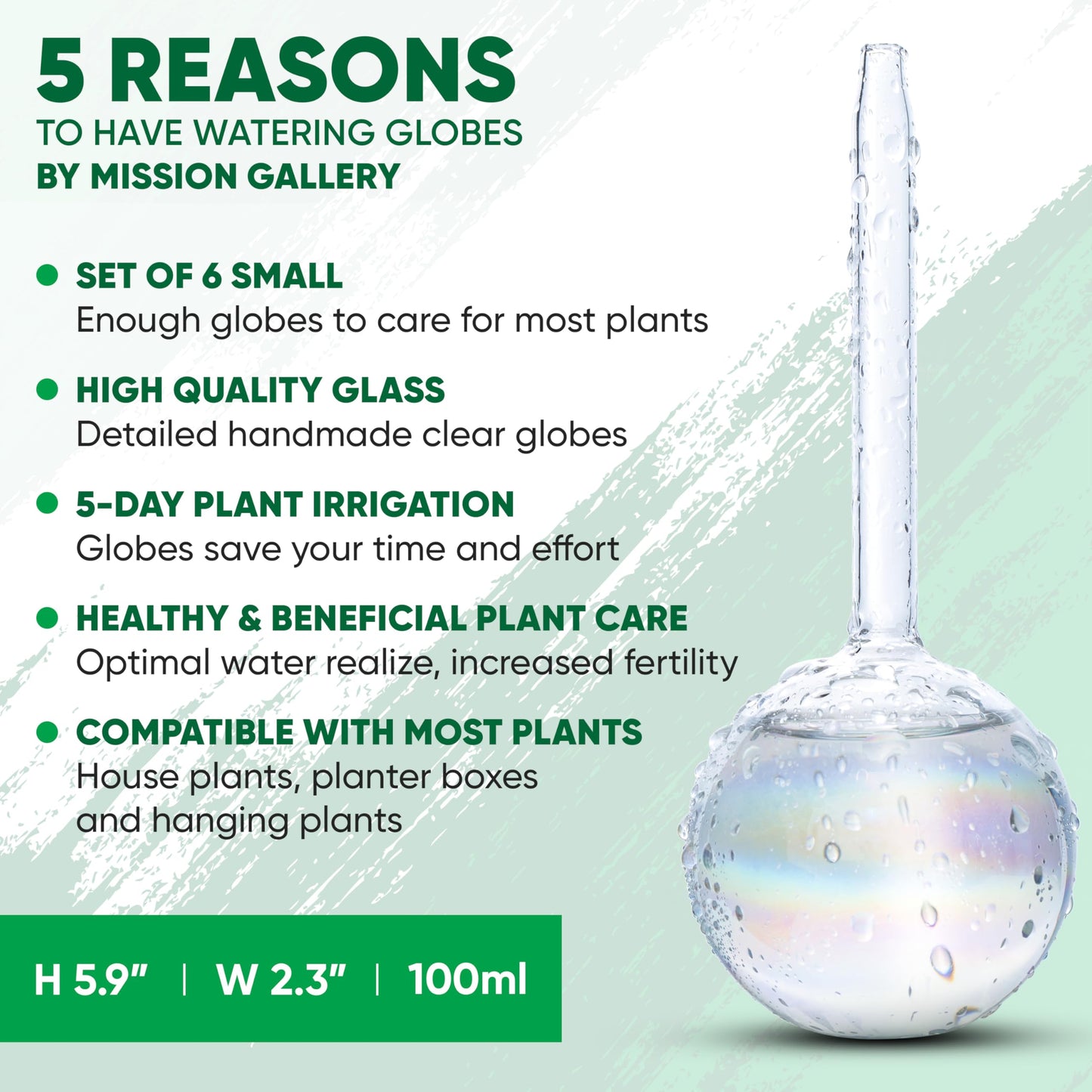 Mission Gallery Clear Plant Watering Globes Set of 6 - Small Self Watering Globes for Indoor & Outdoor Plants - Automatic, Glass Watering Bulbs for Daily Use, Plant Watering Devices