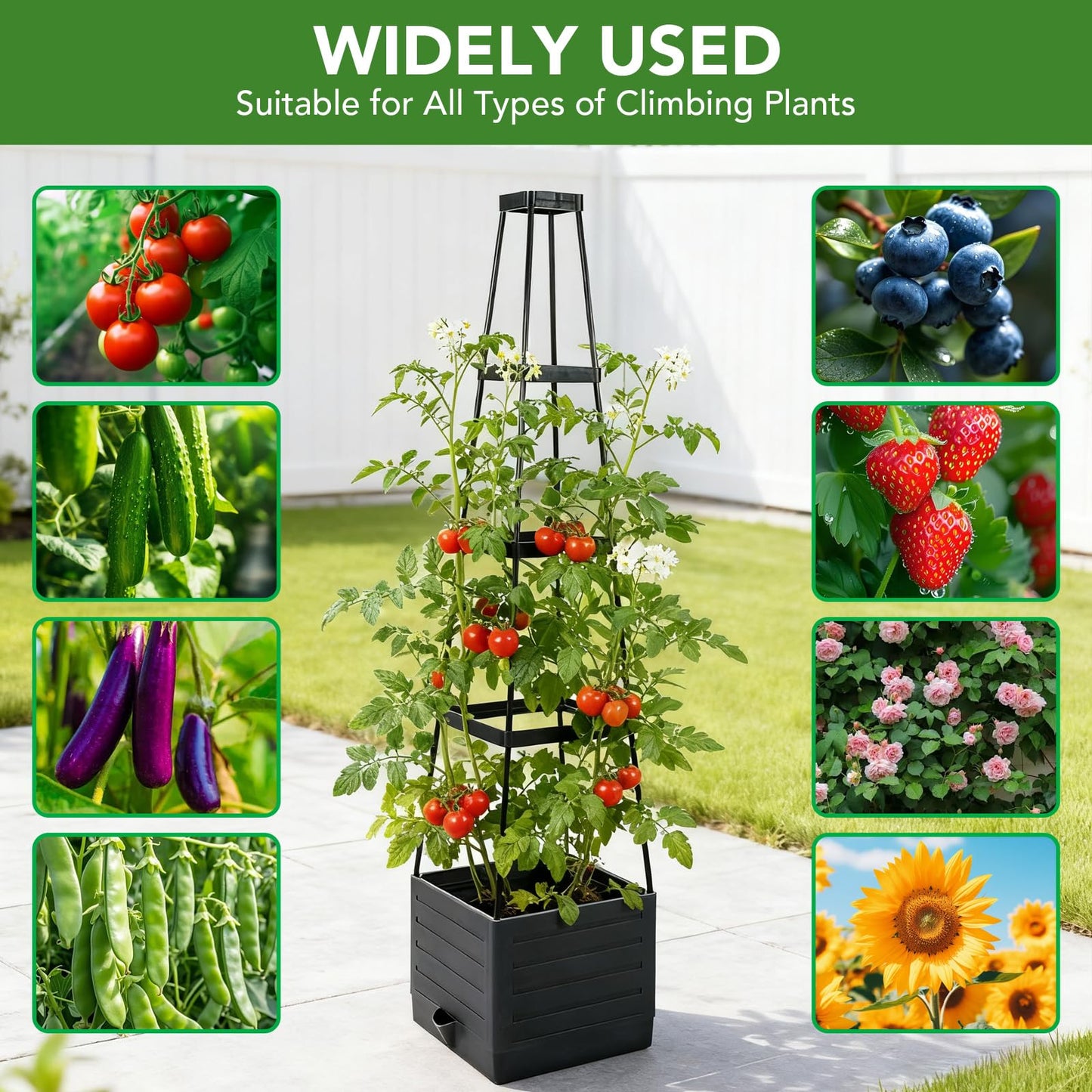 2 Pack Raised Garden Bed Planter Box with Trellis, 57'' Self Watering Tomato Planters for Climbing Plants, Tomato Cage Trellis for Vegetables & Vine Flowers Indoor Outdoor Patio