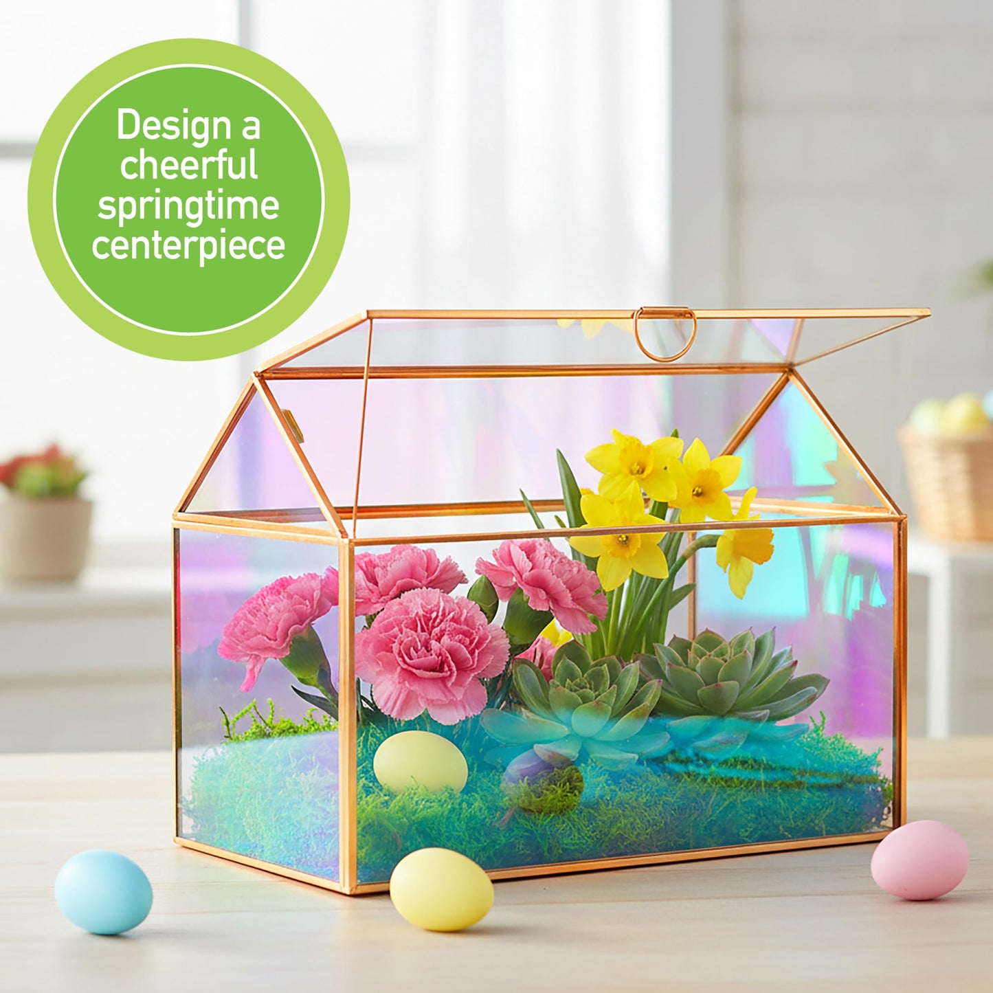 D'Eco Iridescent Glass House Centerpiece (10x6x8)- Planter Terrarium- Spring Home Decor & Wedding Letterbox - Fill with Succulents, Cacti, Air Plants, Moss, Flowers for Plant Lovers