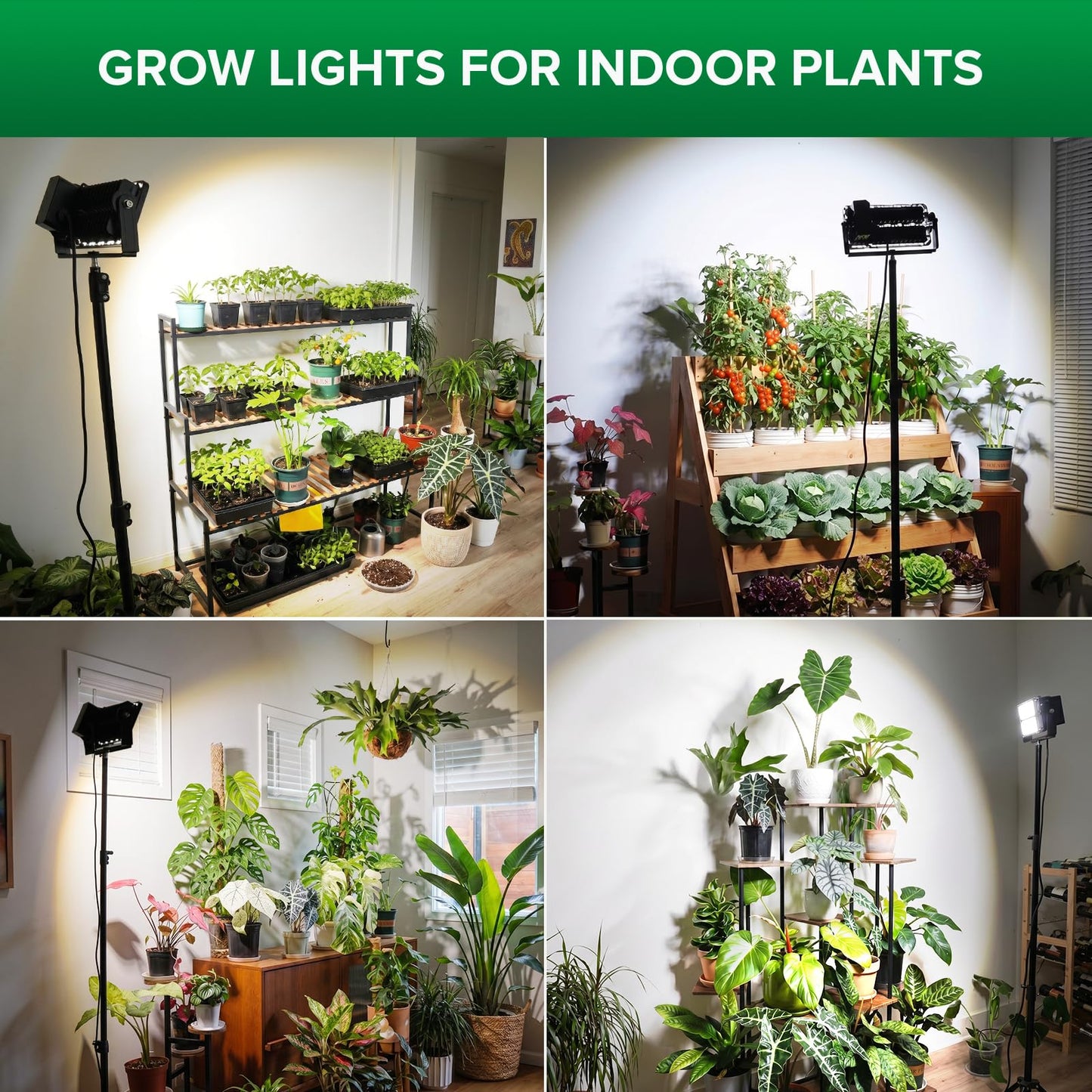 SANSI Grow Lights for Indoor Plants, 100W Dimmable Plant Lights for Indoor Growing, IP65 Full Spectrum High PPFD 10klm 38"-80" Adjustable Tall Standing Grow Light with Auto On/Off Timer Remote Control
