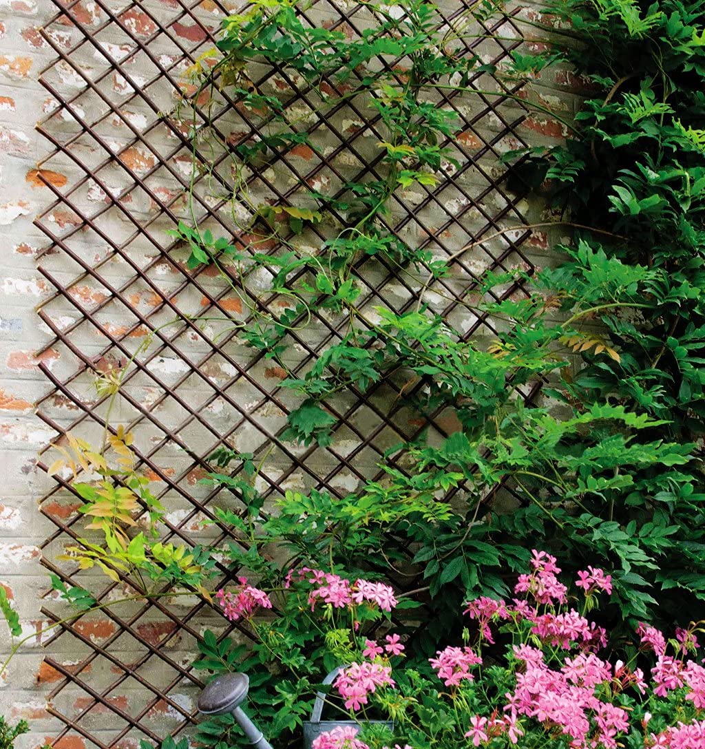 Helprise Expandable Willow Lattice Fence Panel Plant Support Garden Trellis for Climbing Vine Ivy Rose Cucumbers Clematis Outdoors Garden Yard, 36X92 Inch(1PC)
