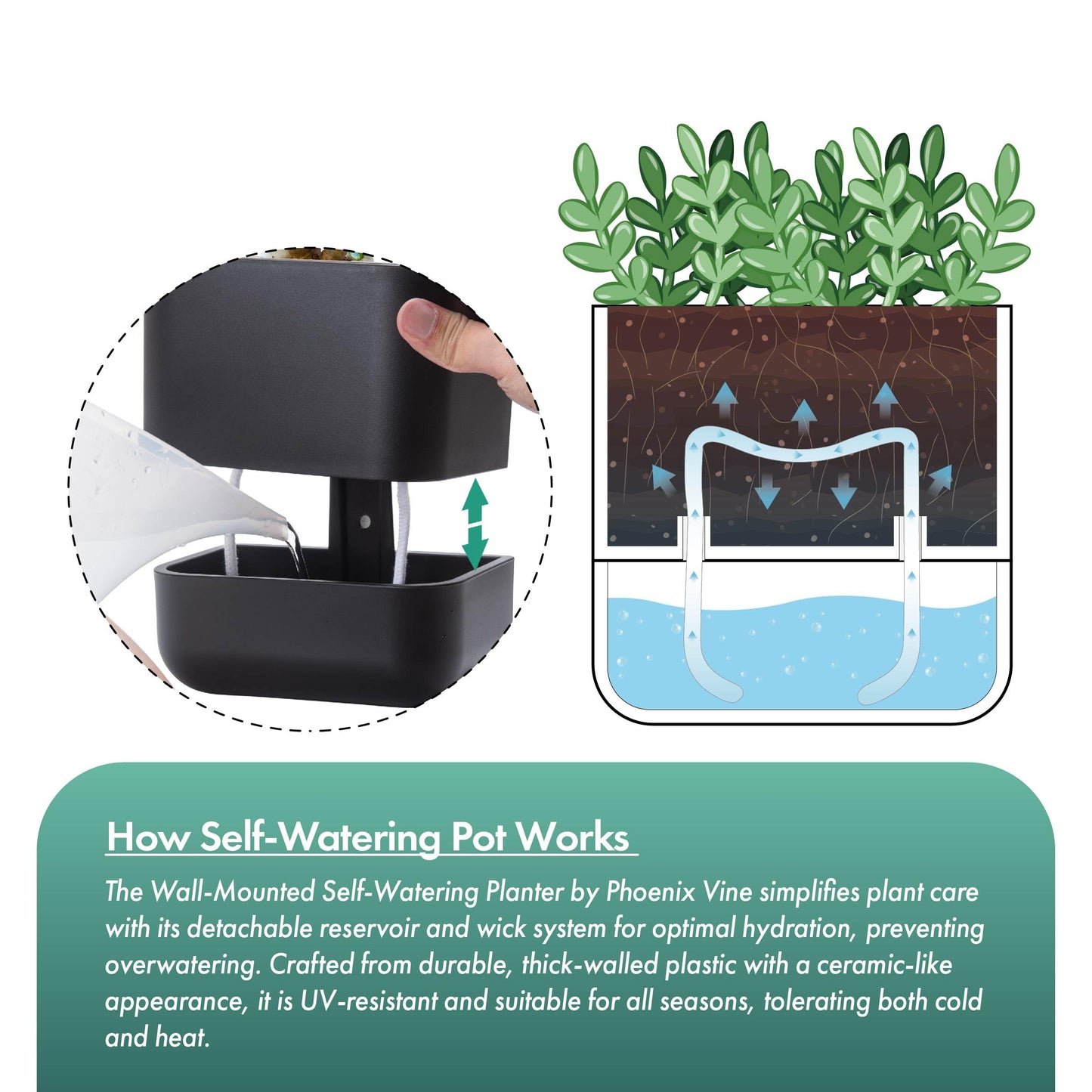 Phoenix Vine 6.5 Inch Wall Mounted Self-Watering Planter Pot for Indoor Houseplants and Herbs | Hanging Planter for Window Sills, Bathroom Walls, Home & Office Décor, Black, Set of 3, 01-C-E-3