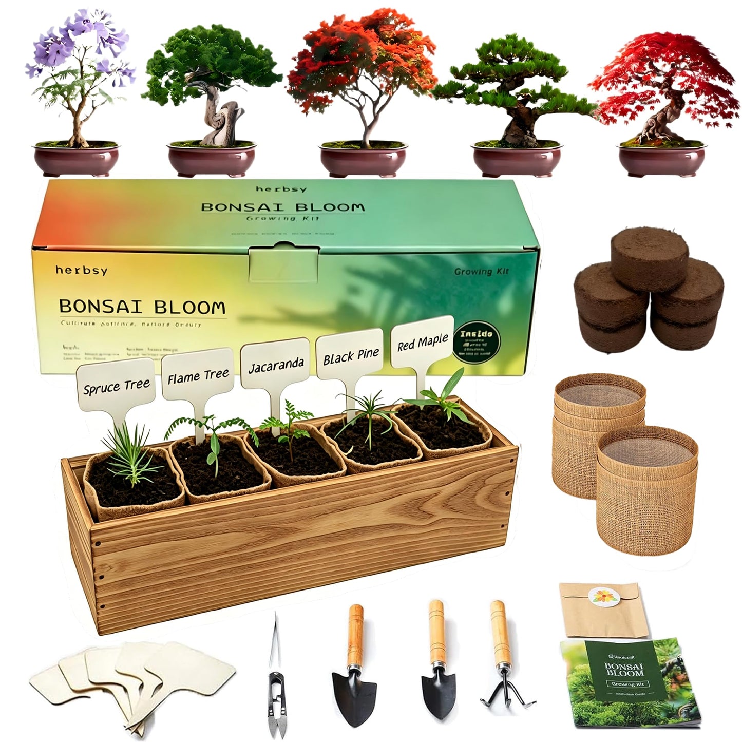 5 Pack Bonsai Tree Kit with Complete Tools, 5X Unique Seeds Bonzai Tree Live Kits, Complete Indoor Bonsai Starter Kit with Wooden Box, Perfect Christmas Garden Gift for Mom, Men, Women, Plant Lover