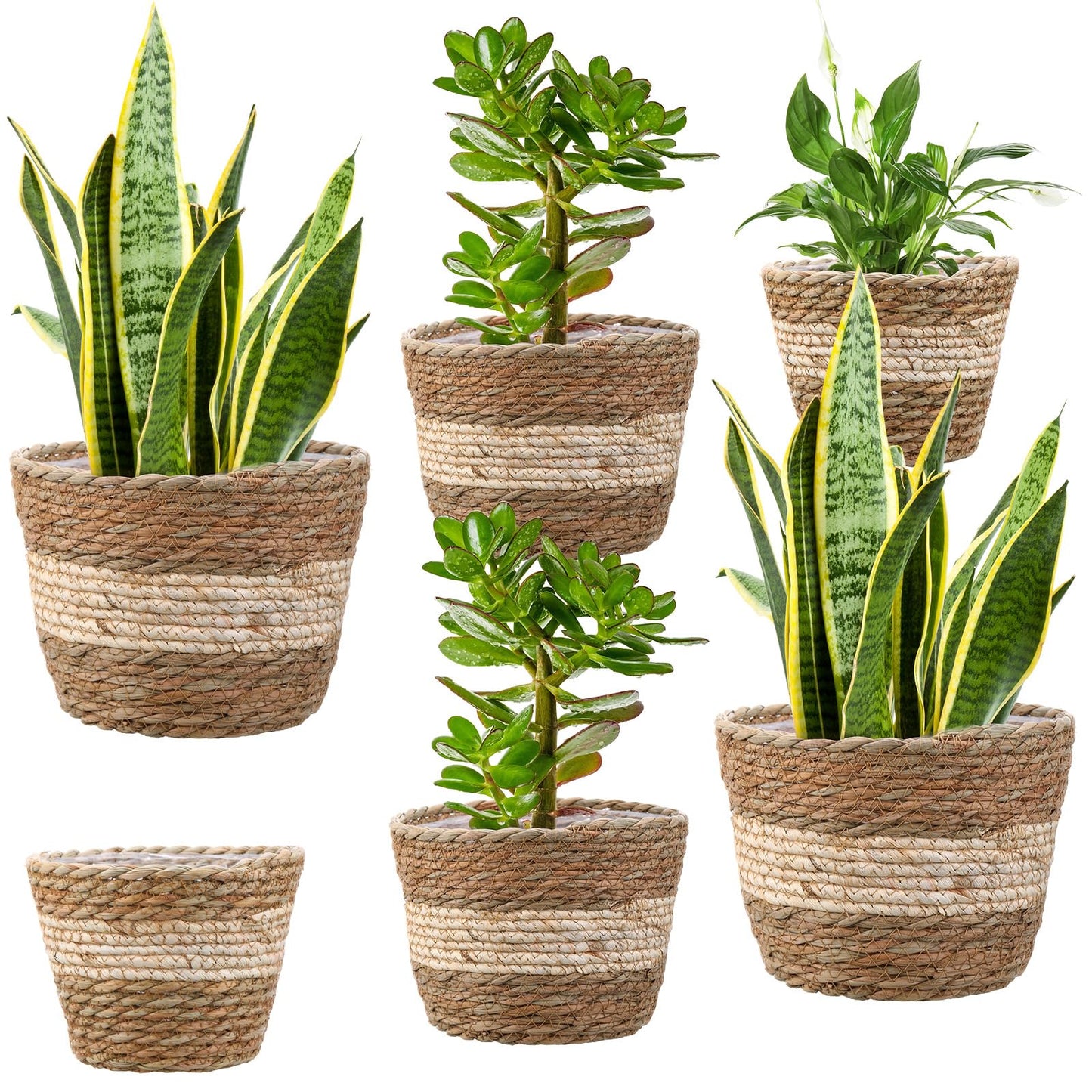 Mumufy 6 Pcs Seagrass Planter Basket Flower Pots Cover Plant Baskets Hand Woven Plant Basket Storage Containers with Plastic Liners for Indoor Outdoor Flower Pots Decoration 10, 7, 8.3 Inch(Novel)