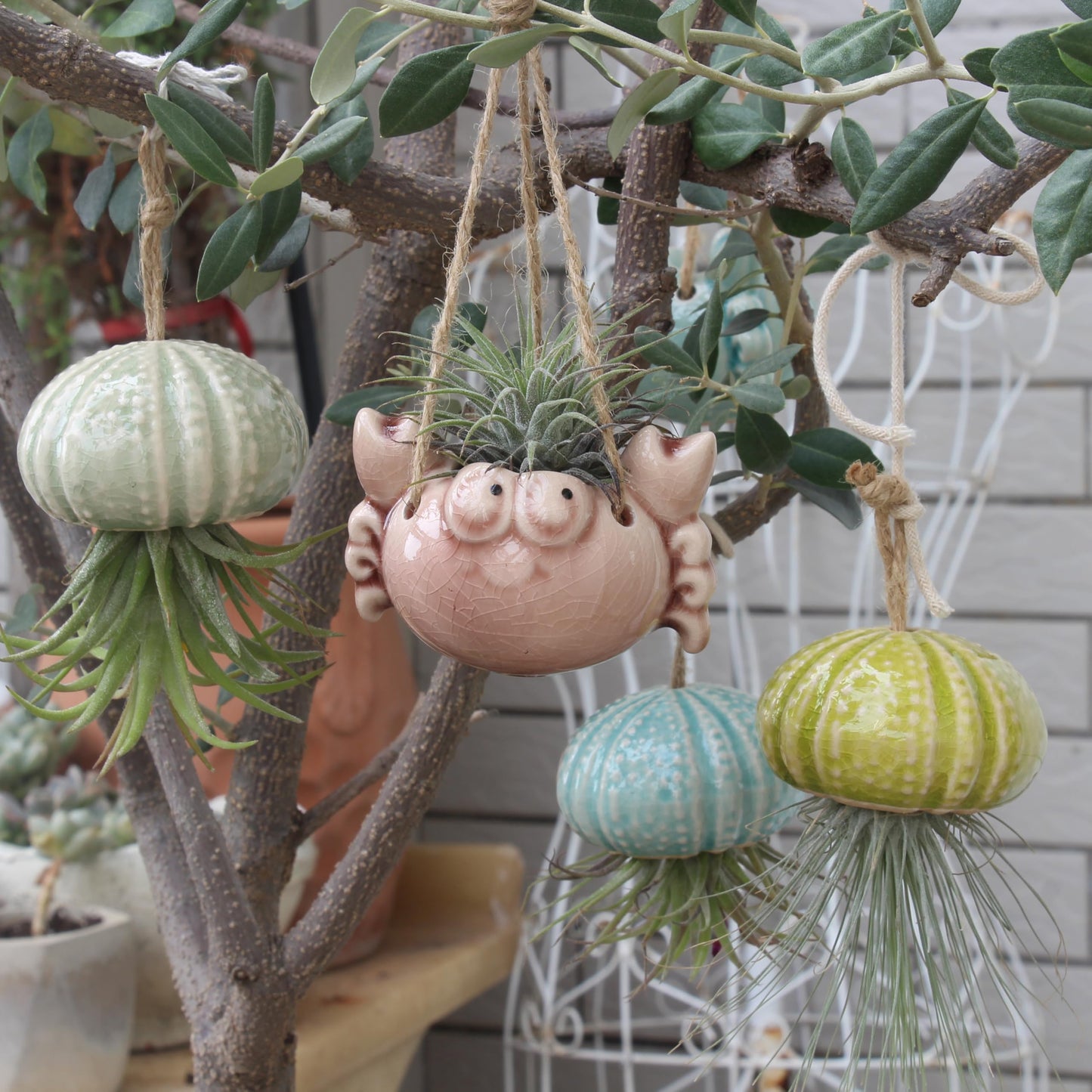 Gniliny Ceramic Crab Air Plant Holder - Cute Succulent Tillandsia Stand, Mini Desktop Airplant Display Decoration for Home Office Windowsill, Small Plant Pot for Indoor Plants