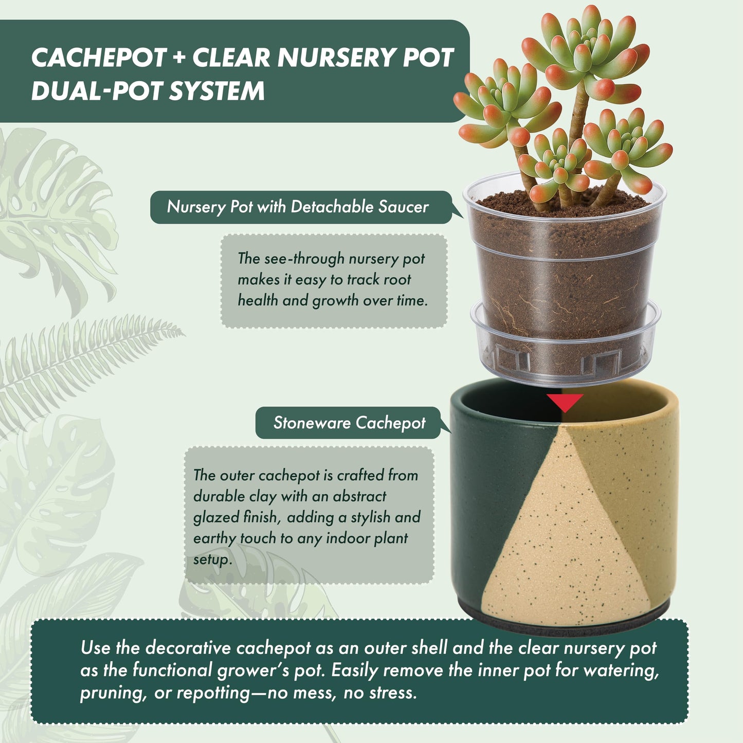 D'vine Dev 3.5" Stoneware Cachepot Planter with 3" Clear Nursery Pot & Detachable Saucer – Indoor Plant Pot with Drainage for Bottom Watering & Root Visibility, Desert Forest, Set of 2, 93-V-A-1