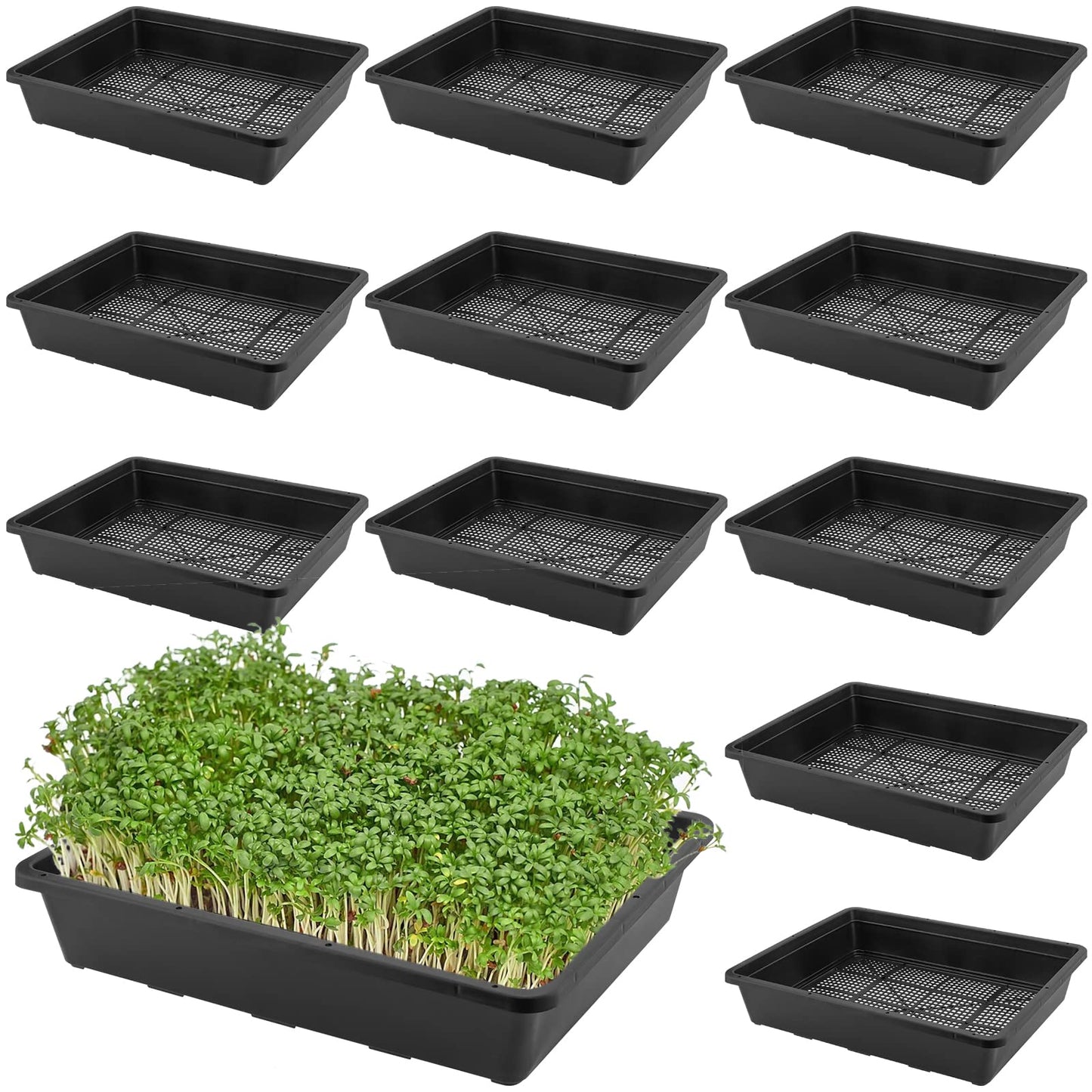 KEILEOHO 12 Pack Plastic Mesh Trays, Black Seed Sprouting Trays, Mesh Bottom Microgreens Growing Tray, Nursery Tray for Plant Seed Germination Propagation Growing, Wheat Grass Sprouting, 15 x 12 Inch