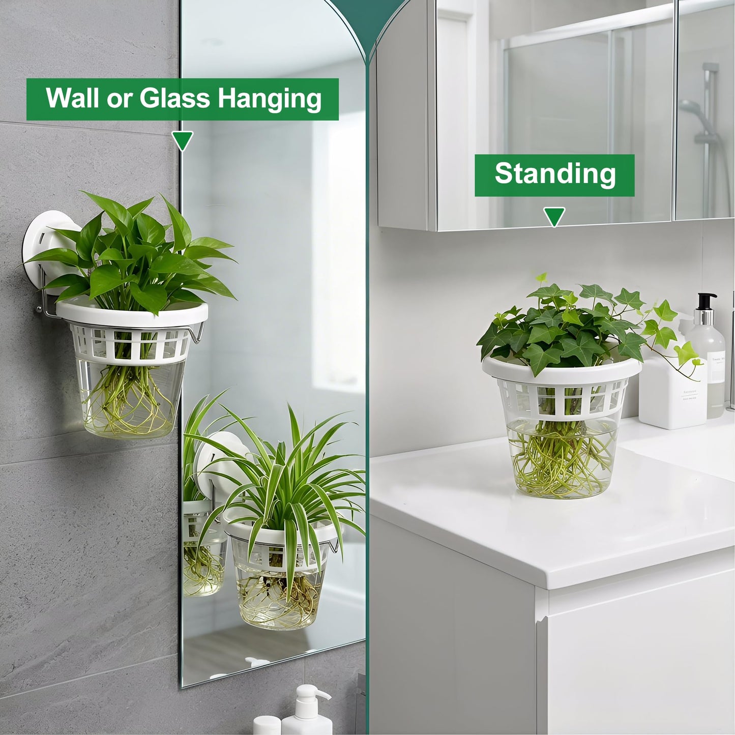 3 Pcs Window Propagation Stations Plastic Wall Hanging Planter with Suction Cup Holder Window Mounted Plant for Hydroponics Plants, Home, Office, Bathroom, Living Room Decor and Any Smooth Surface