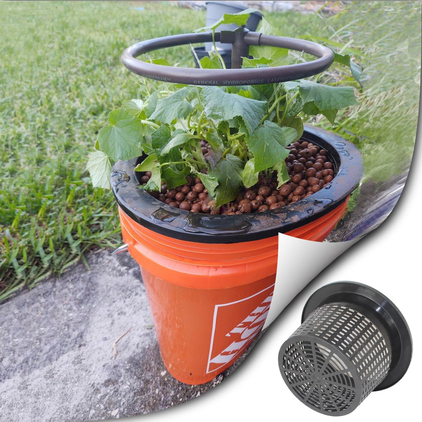 Gyfofix 3 & 5 Gallon Bucket Lid Hydroponic Plant Pot, Small/Medium/Large Opening Mesh Net Cups for Indoor Outdoor Hydroponics Growing System - Medium Opening for Most Hydroponic Crops (2 Pack)