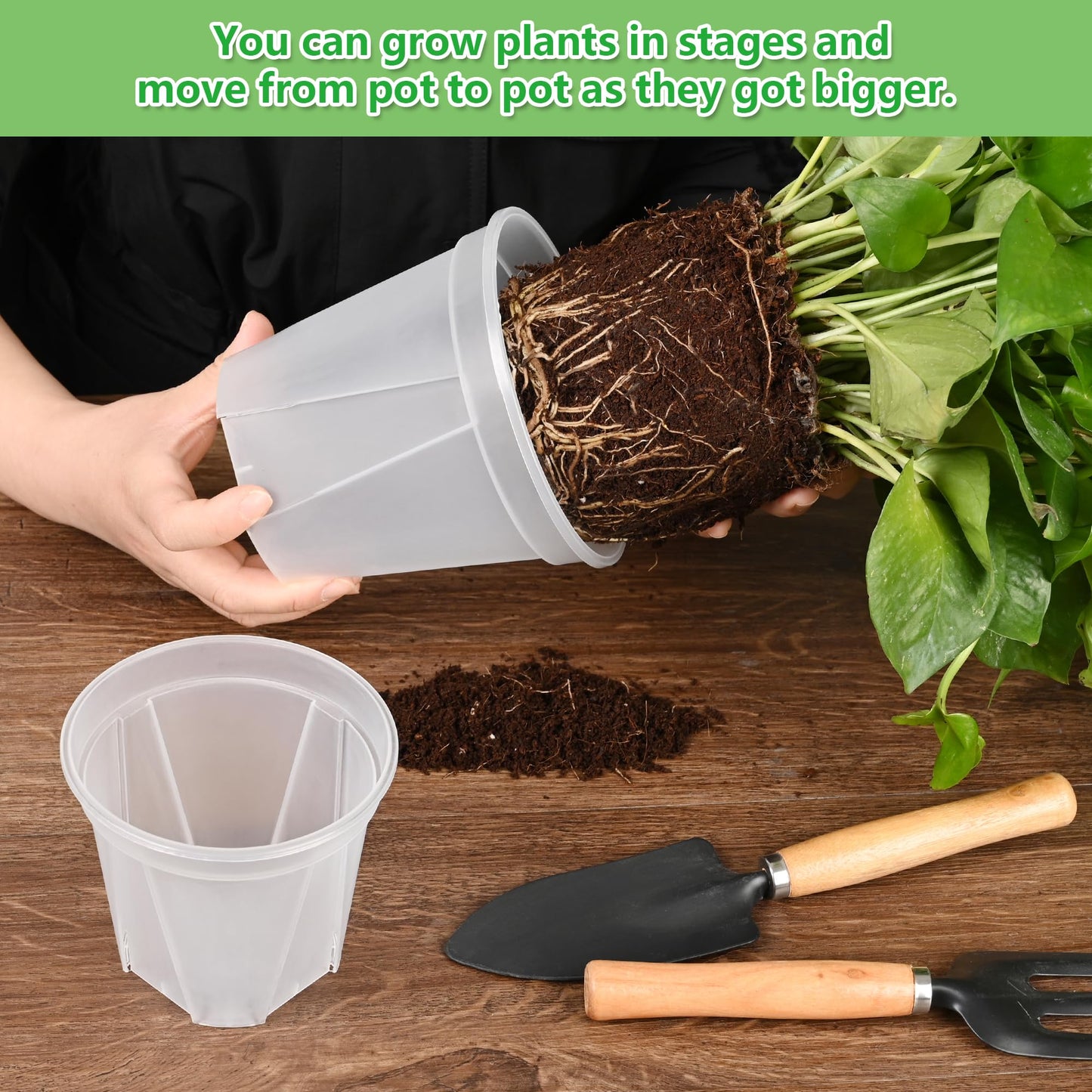 AUGXIXI 5 Sets 8 Inch Transparent Plastic Garden Pots Planter with Saucer Plant Planter Drainage Hole Plastic Pots for Plants Indoor and Out Door House Plants with 10pcs Plant Labels