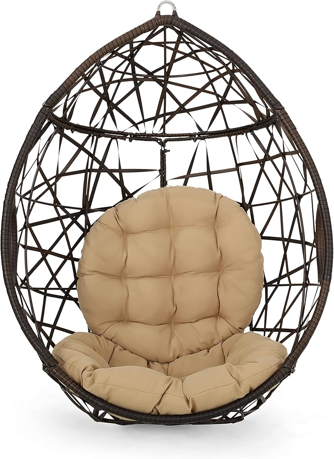 Christopher Knight Home Isaiah Indoor/Outdoor Wicker Tear Drop Hanging Chair