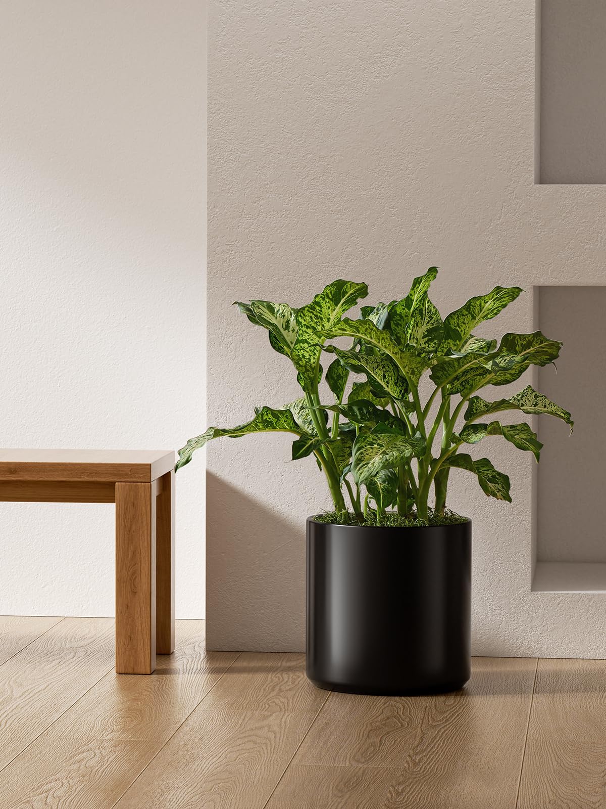 LE TAUCI 12 Inch Pot for Plants, Ceramic Planters for Indoor Plants, Mid-Century Modern Cylinder Flower Pots with Drainage Hole, Fits Fiddle Leaf Fig & Monstera, Home Decor, Black