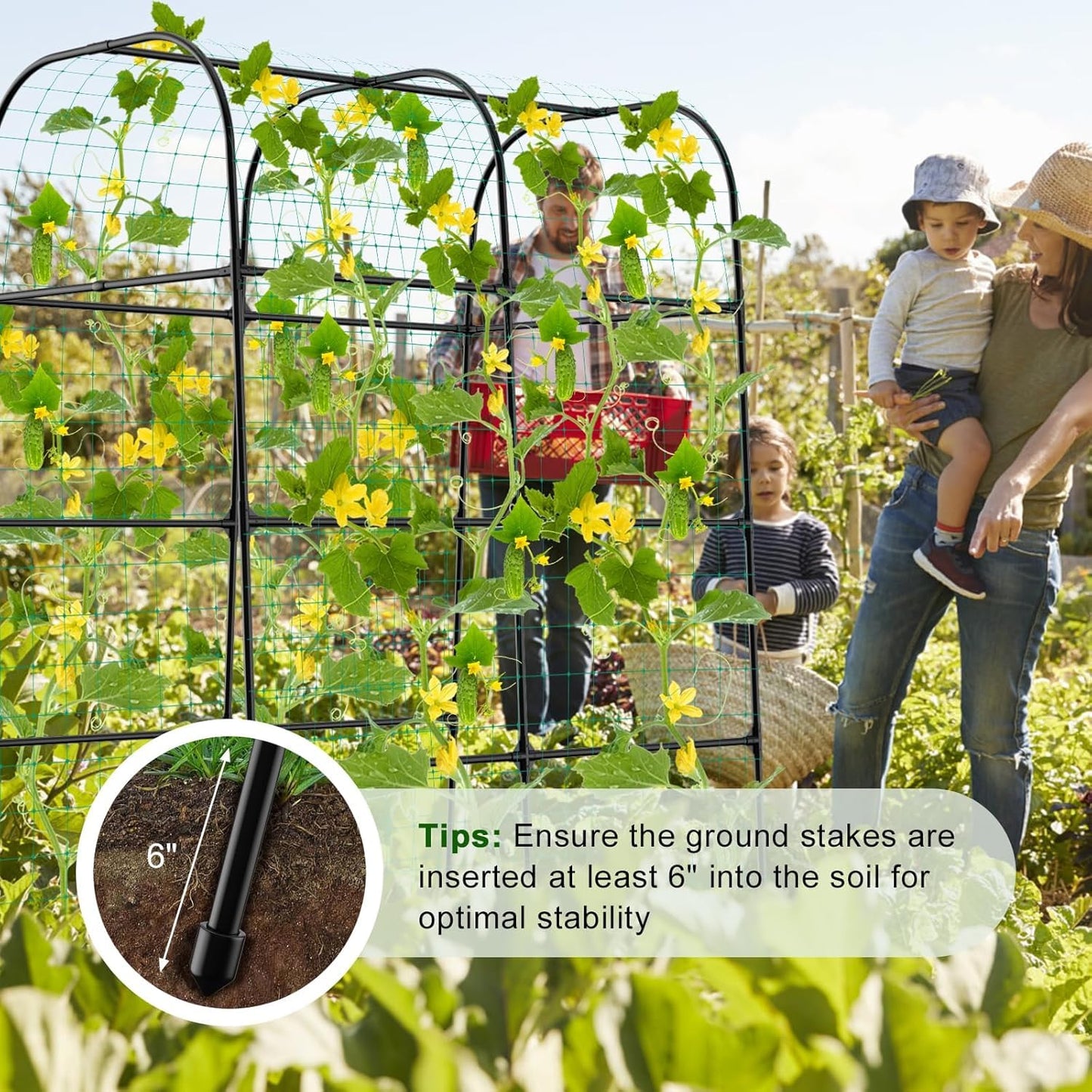 7.3FT Cucumber Trellis for Raised Bed, Garden Arch Trellis with Net, Rustproof Metal Plant Support for Climbing Plants Outdoor, Tomato Zucchini Squash Bean Pea Melon Vine, Rose Flower Garden Arbor