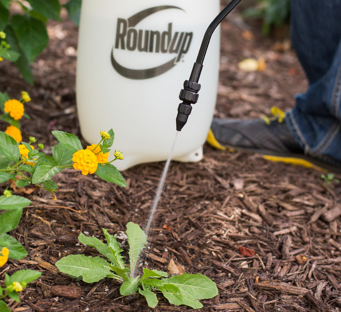 Roundup 190260 2-Gallon Lawn and Garden Sprayer for Controlling Insects and Weeds or Cleaning Decks and Siding