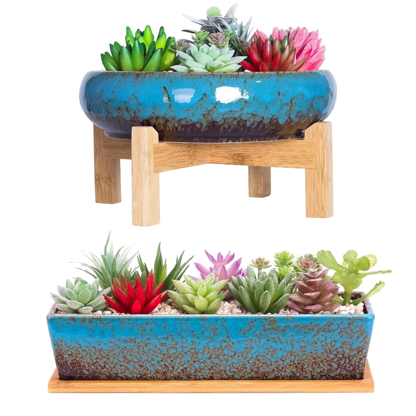 ARTKETTY 2 Pack Succulent Pots - 10''+12'' Succulent Planters with Drainage, Shallow Bonsai Pots with Tray Ceramic Pots for Indoor Plants Large Cactus Flower Plant Bowl