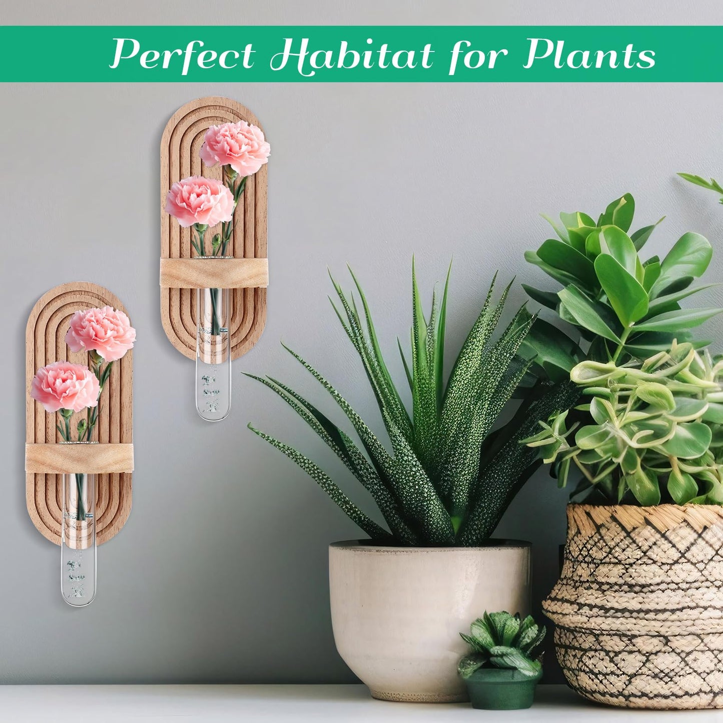 Beeveer 4 Sets Hanging Plant Propagation Stations Walnut Wood Wall Mounted Test Tube Vase Rustic Decorative Glass Planter Holder Gift for Women Plant Lover Hydroponic Flowers Home and Office Decor