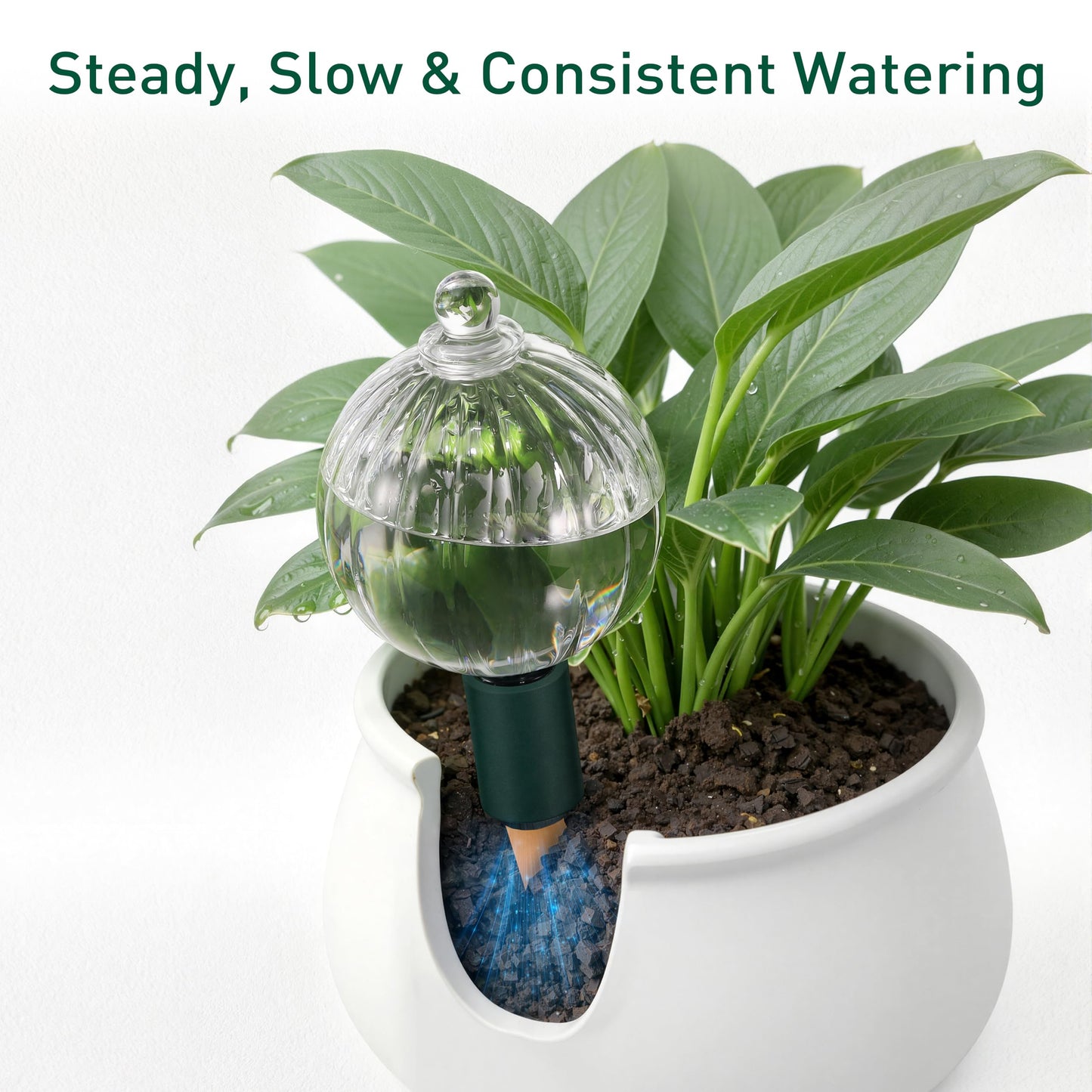 Soilagua 23 oz Extra Large Plant Watering Globes Top Fill, Clear Glass Water Bulbs with Terracotta Spikes Adapter, Slow Release Vacation Plant Watering Devices, Automatic Drip Irrigation, 2 Pack