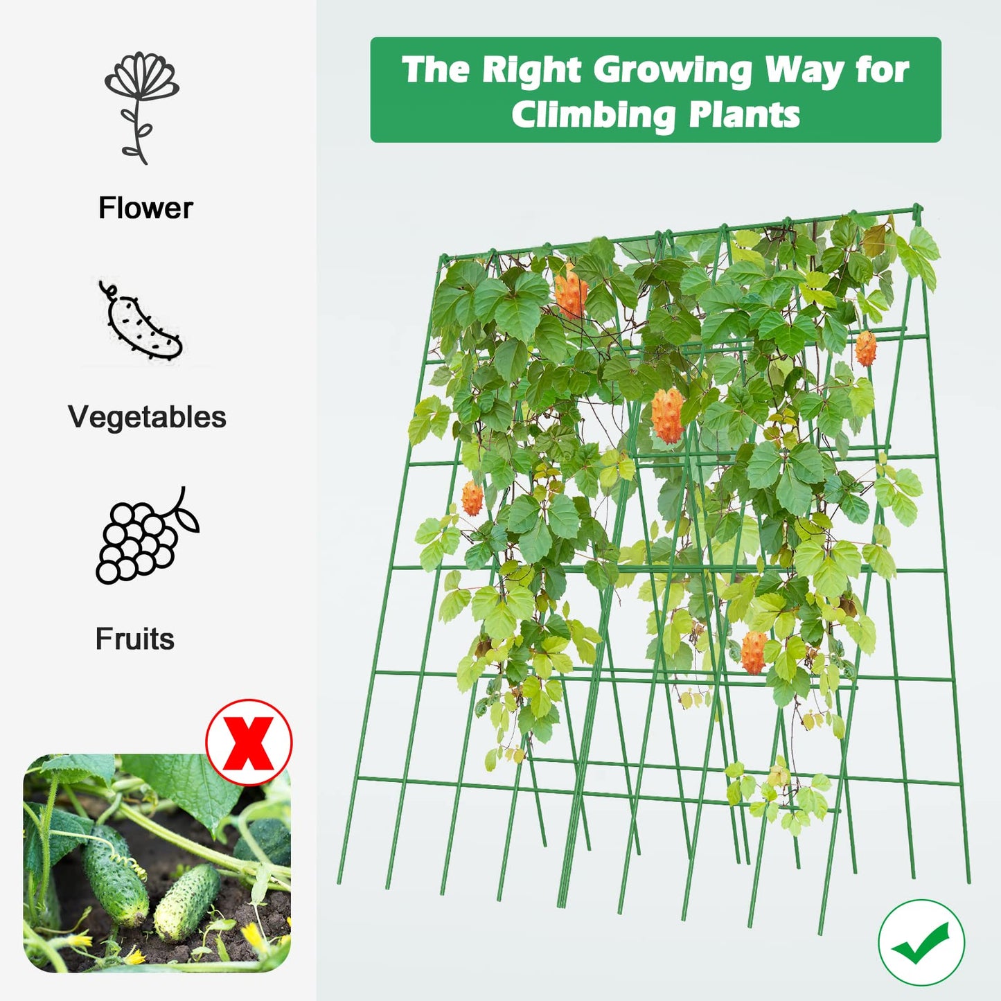 DoCred Cucumber Trellis, 2 Pack Foldable A Frame Trellis for Raised Bed Climbing Plants, Vegetables, Includes Plant Support Clips, Twist Ties, Plastic Ties- Made from PVC-Coated Steel