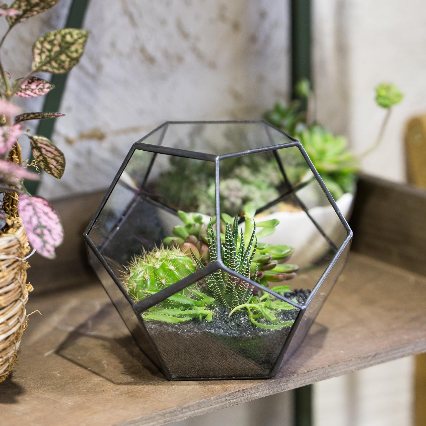 NCYP Small No Door Terrarium Planter - 6.8" x 6.8" x 5.9" Open Geometric Glass Terrarium Pot for Mini Succulents, Small Cactus - Home Tabletop Miniature Decor, Black (No Plants)