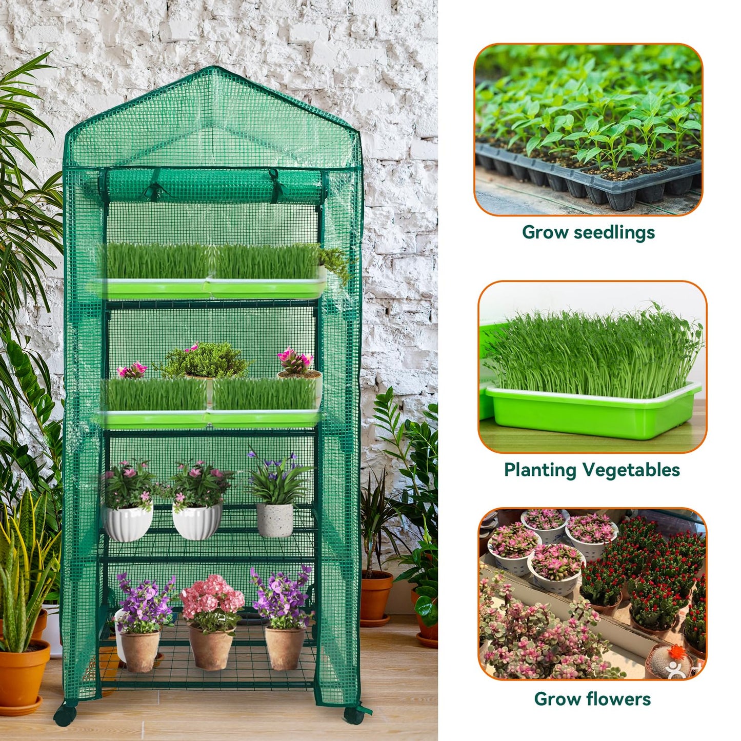 Grandhom Mini Greenhouse,4 Tier Small Portable Greenhouses Kit with Caster Wheels and Roll-up Zipper PE Cover,Green House for Indoor Outdoor Seedling and Plant Growing 27.6" L x 19.7" W x 65" H,Green
