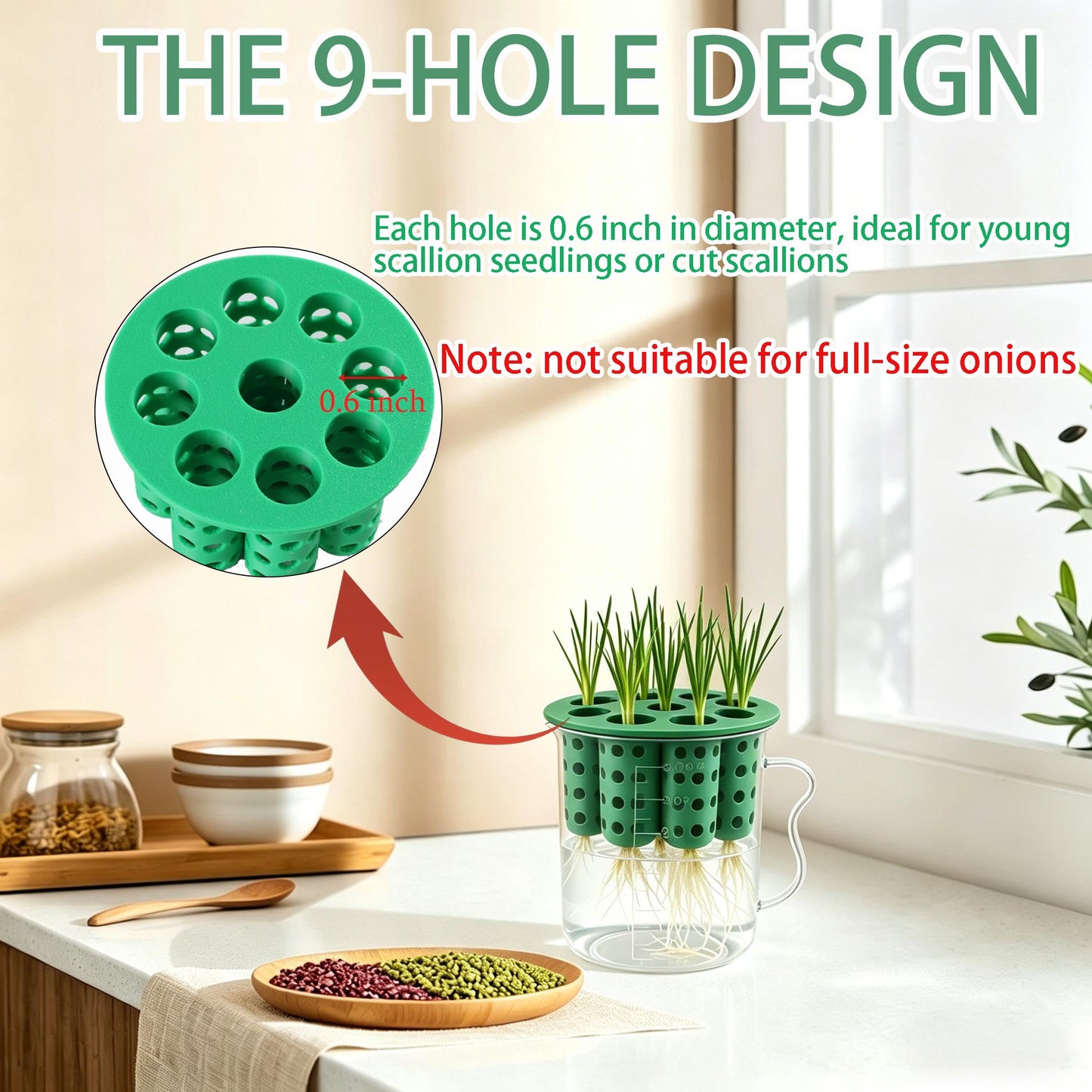 Nalanzhou 2Sets Green Onion Planter Scallion Grower Seed Sprouting Kit, 2 Green Onion Regrower Container and 2 Plastic Cups with Handle for Windowsill Garden Indoor Hydroponics Propagation Enthusiasts