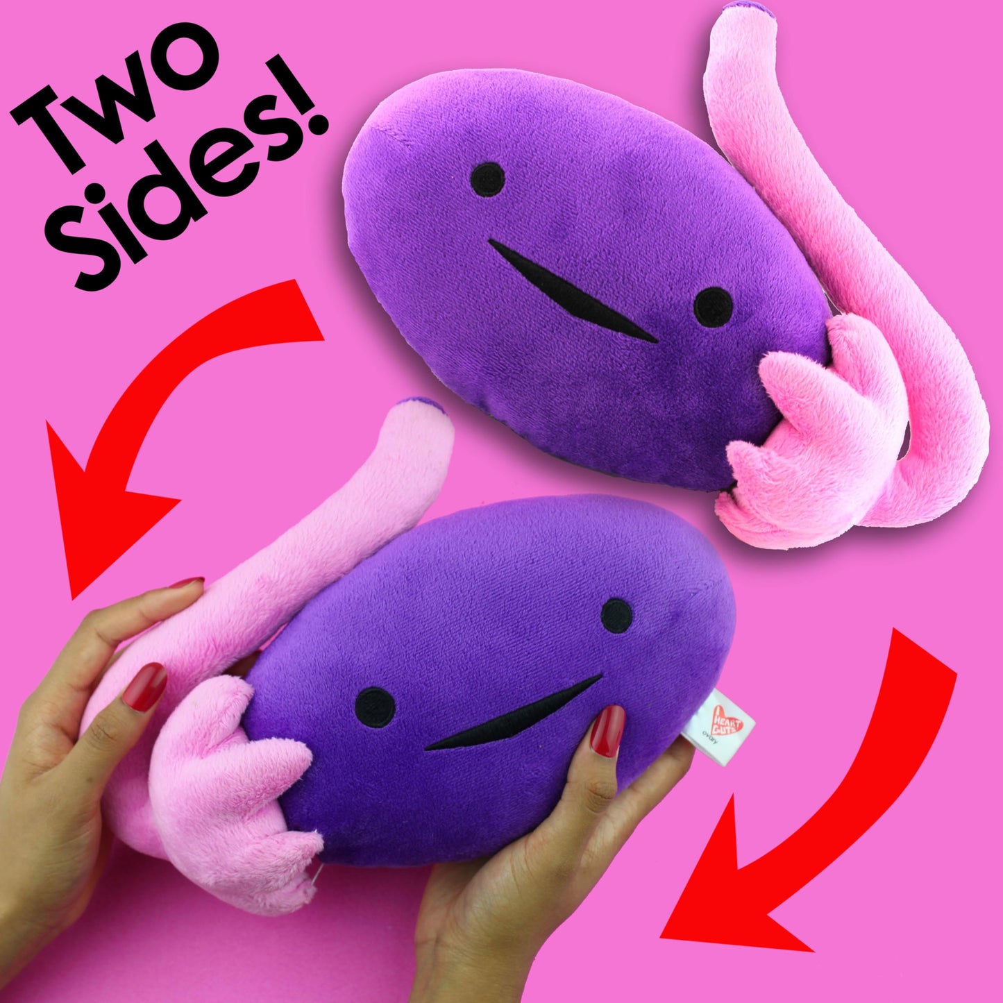 I Heart Guts - The Whole She-Bang Anatomy Bundle - Uterus Ovary Clitoris Vajayjay Placenta Female Anatomy OBGYN Medical Student Menstrual Education