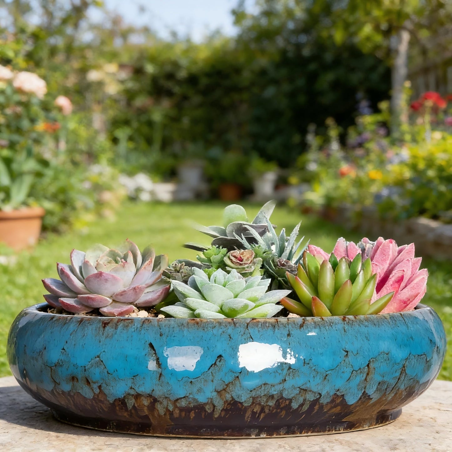 Succulent Pots, 10 Inch, Shallow Planter with Drainage for Succulent Planters, Bonsai Pots & Cactus Pots, Plant Pots, Ceramic Planters for Indoor Plants - Perfect for Home Offie Garden Decor, Blue