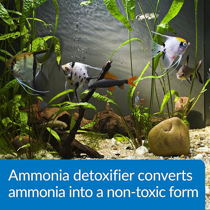 API AMMO-LOCK Freshwater and Saltwater Aquarium Ammonia Detoxifier 4-Ounce Bottle, AMMO LOCK, 4 OZ